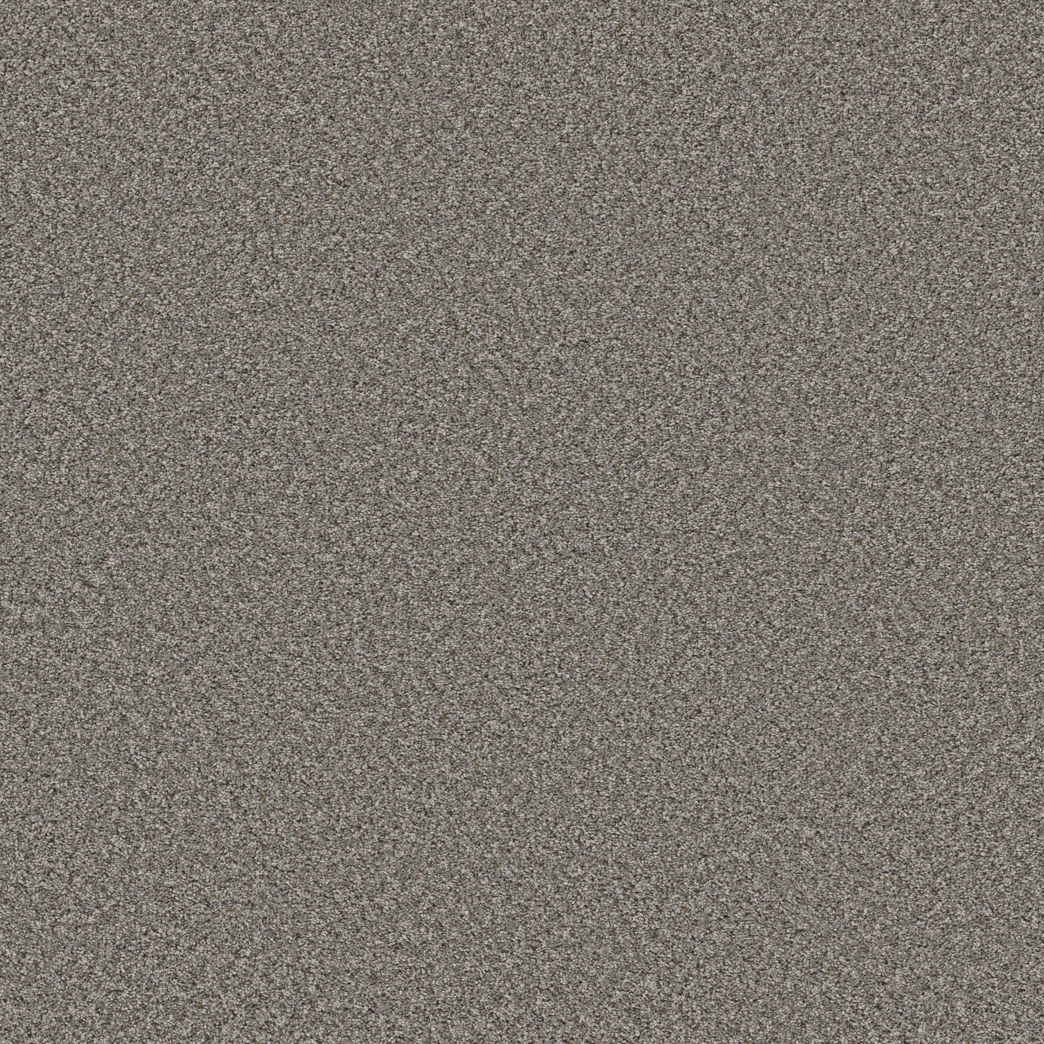FEELIN' ALRIGHT WASHED SUEDE MAIN