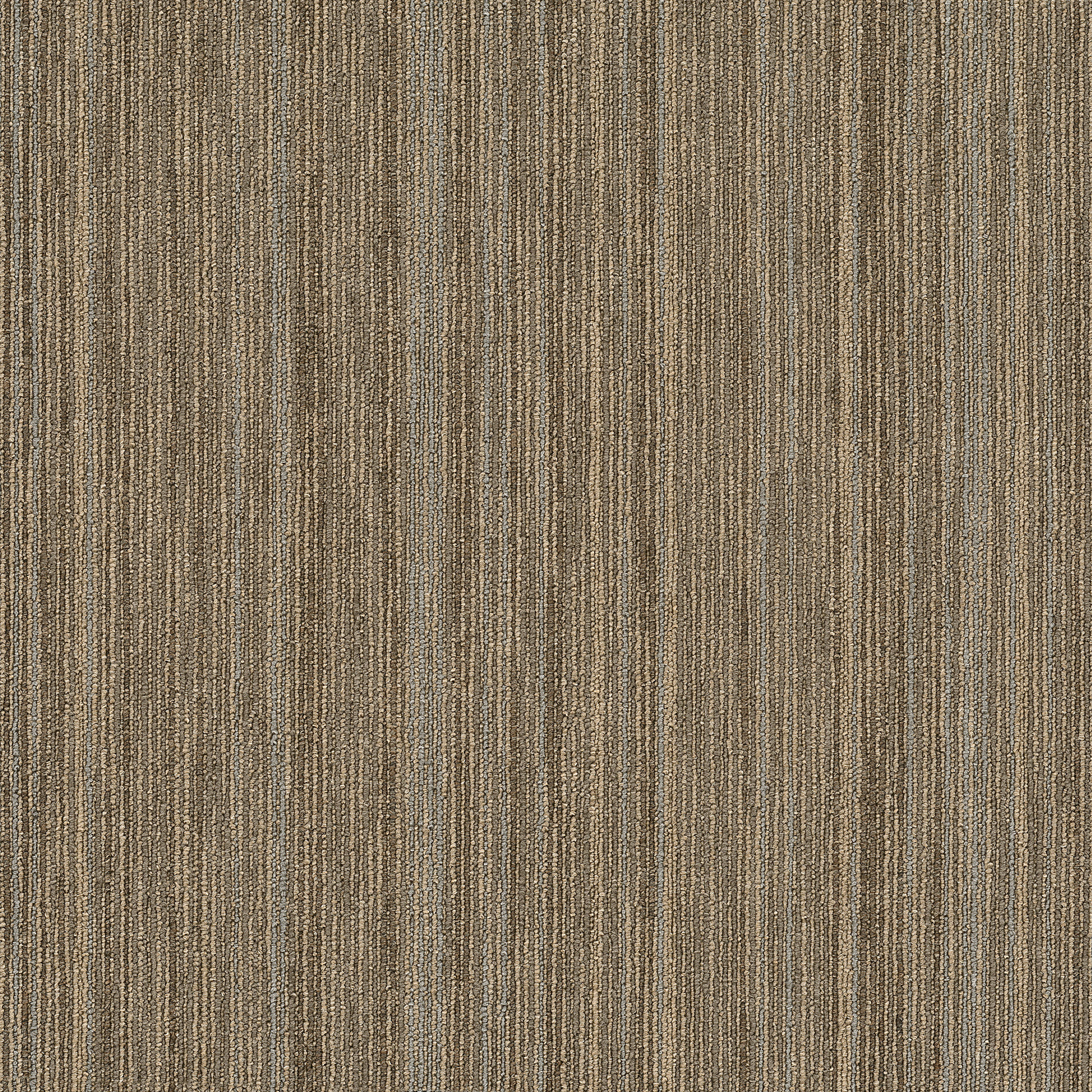 Praise (54882) Carpet Tile | Philadelphia Commercial