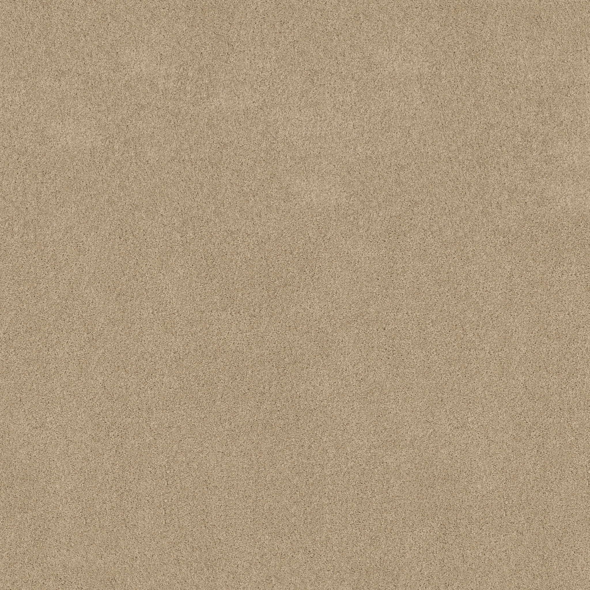 LOYAL BEAUTY I BEACH WALK MAIN