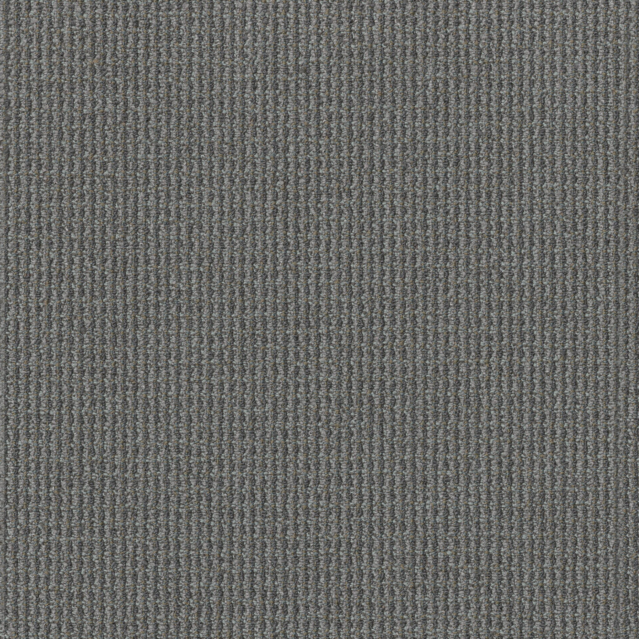 FREE-PRESS-54985-SUBJECT-00500-main-image