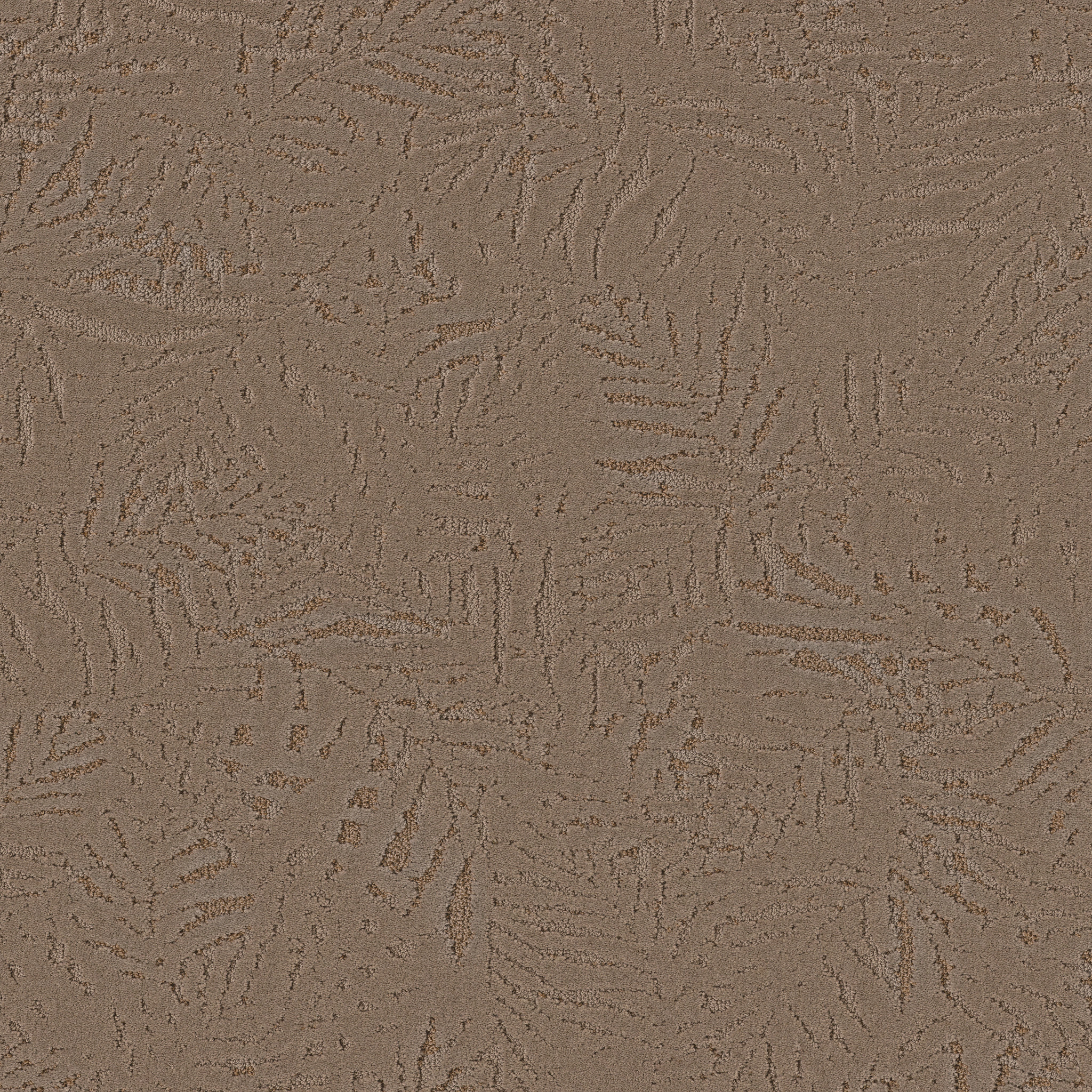 AUTOGRAPH MEET AND GREET MAIN