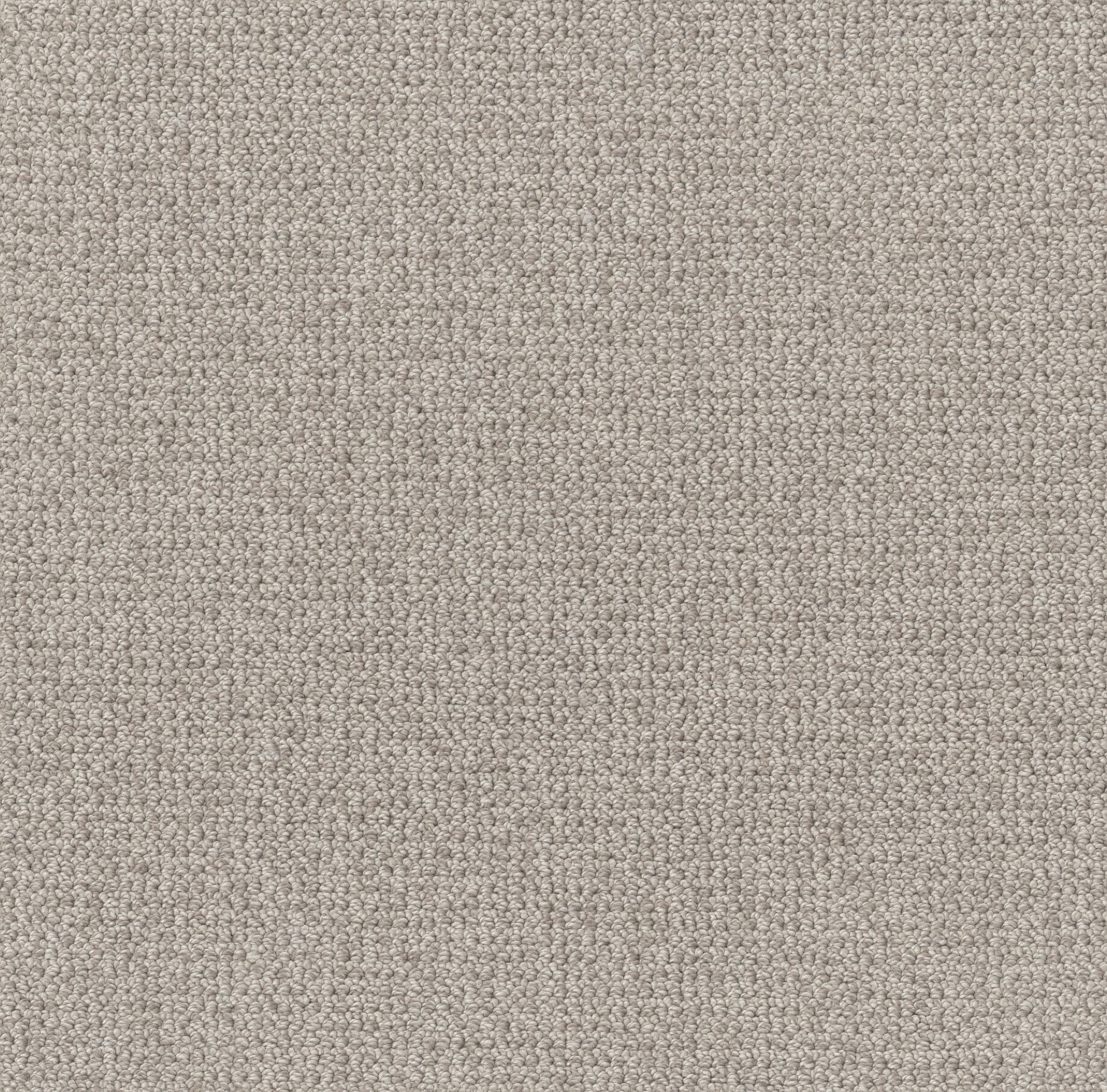 PURRFECTION FLAGSTONE MAIN