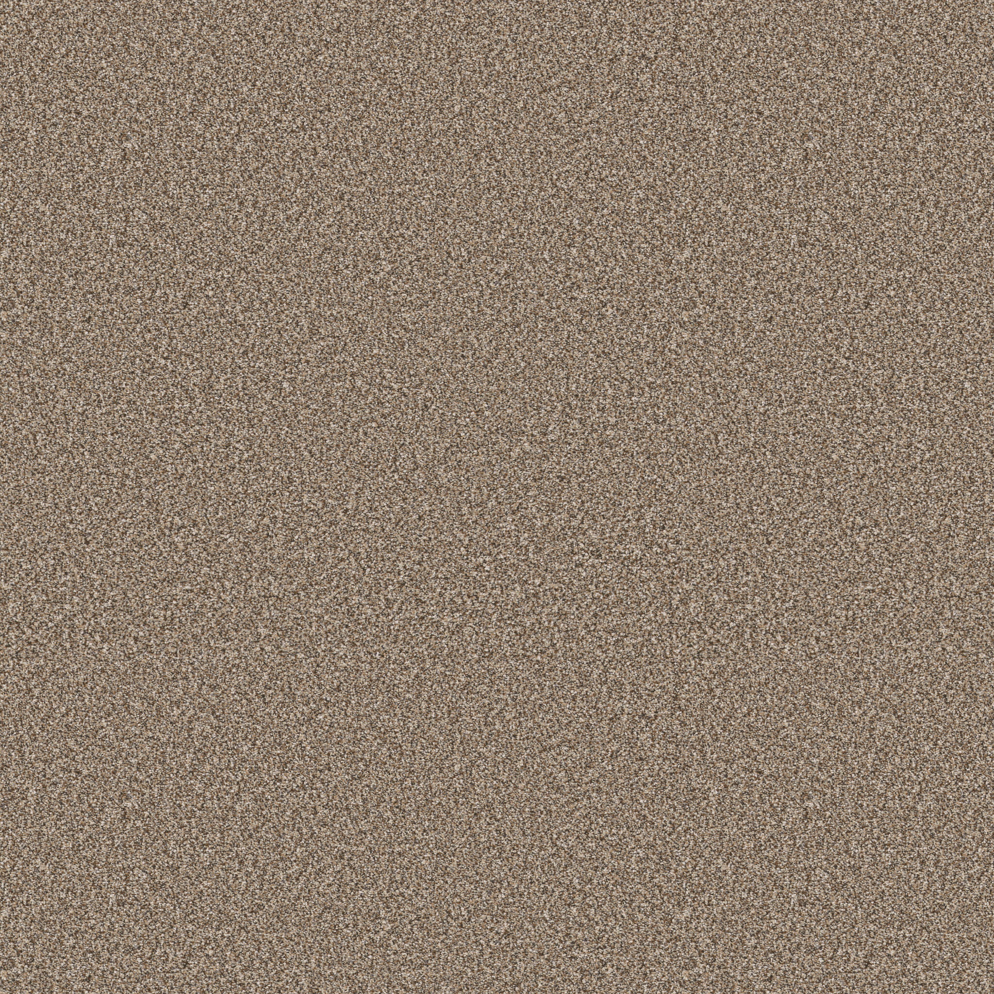 ELEVATED III RODEO MAIN