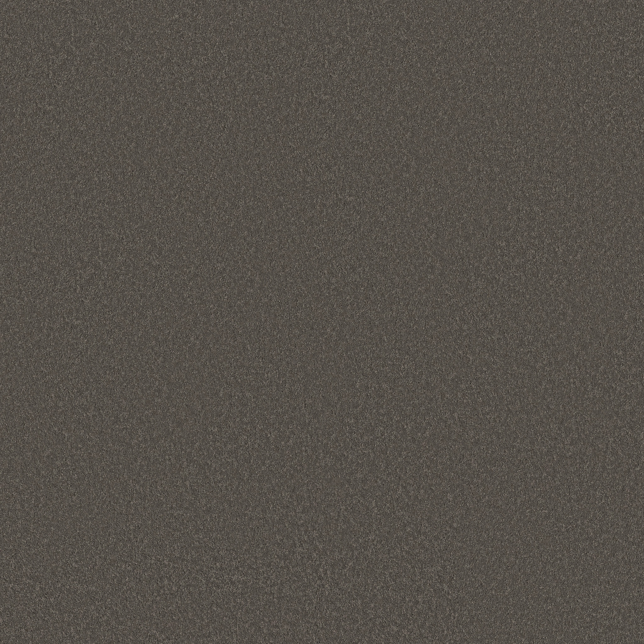 SMOOTH TONE NIGHT OWL MAIN