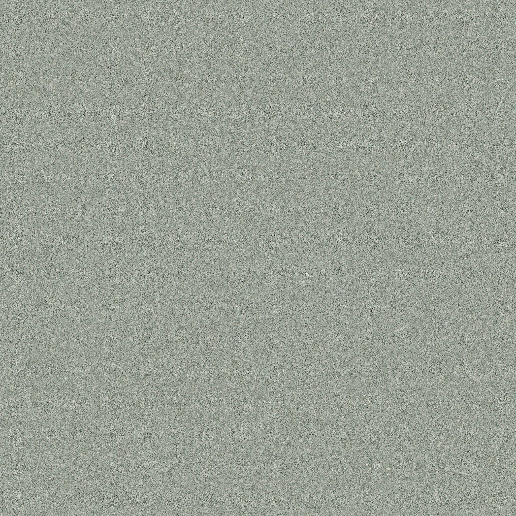 ELEGANT BEAUTY MISTY JADE MAIN