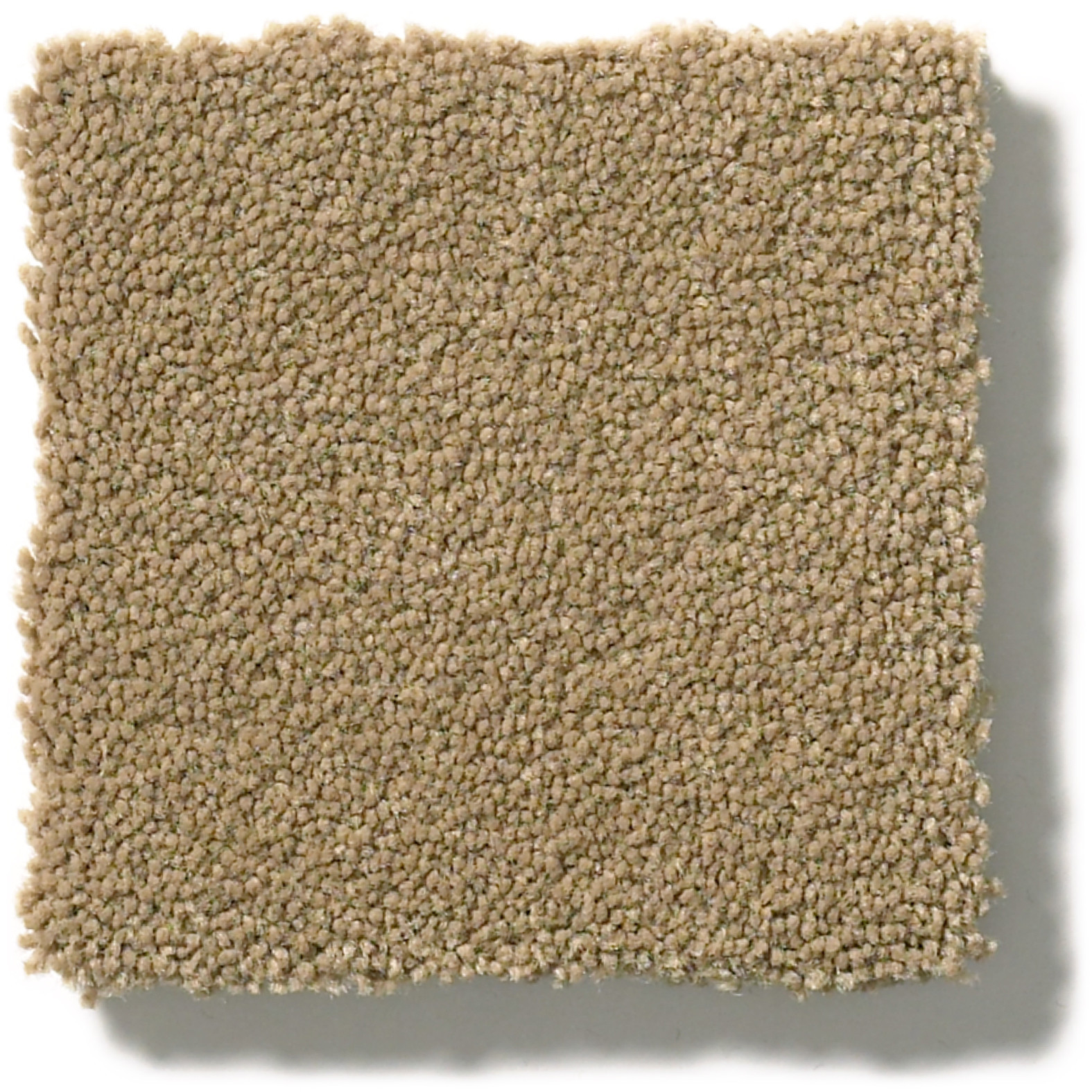 PERFECT CHOICE SCENERY SWATCH