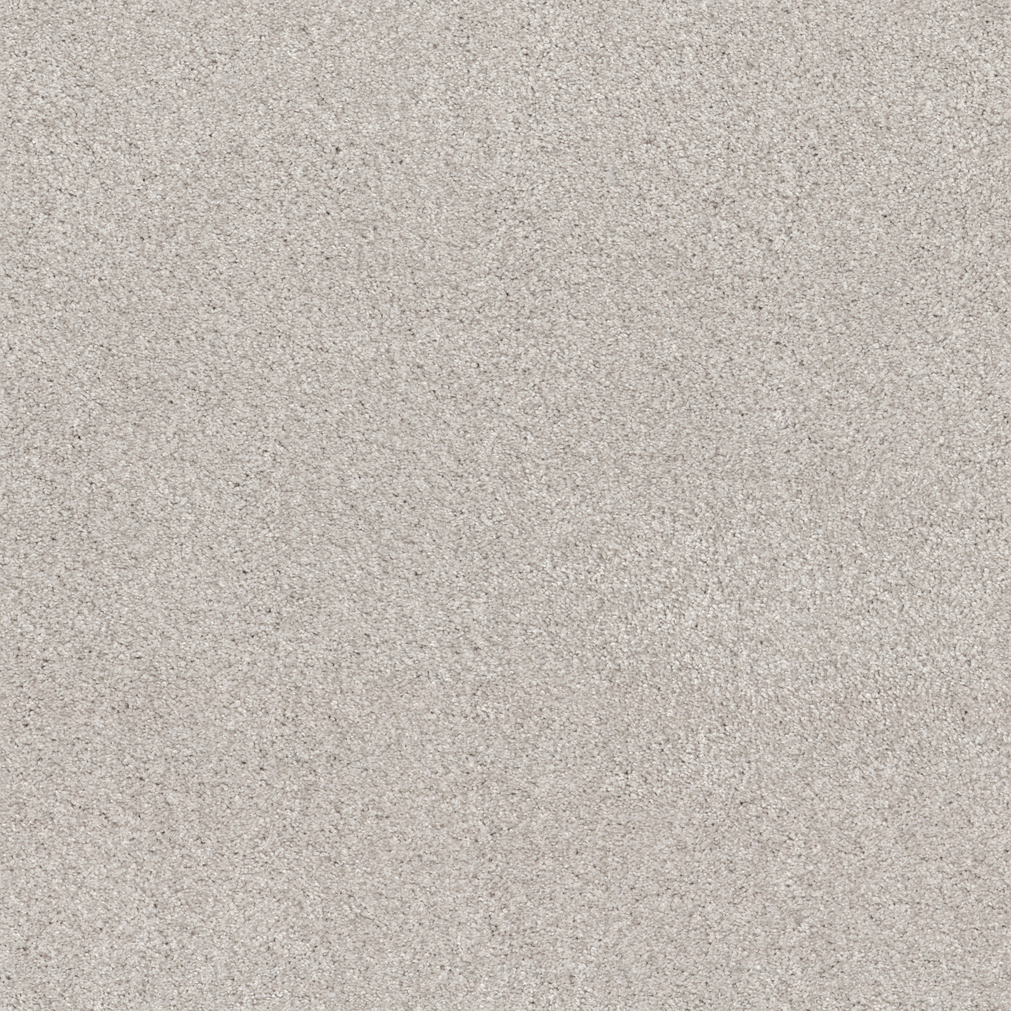 COZY HARBOR II MINIMAL MAIN