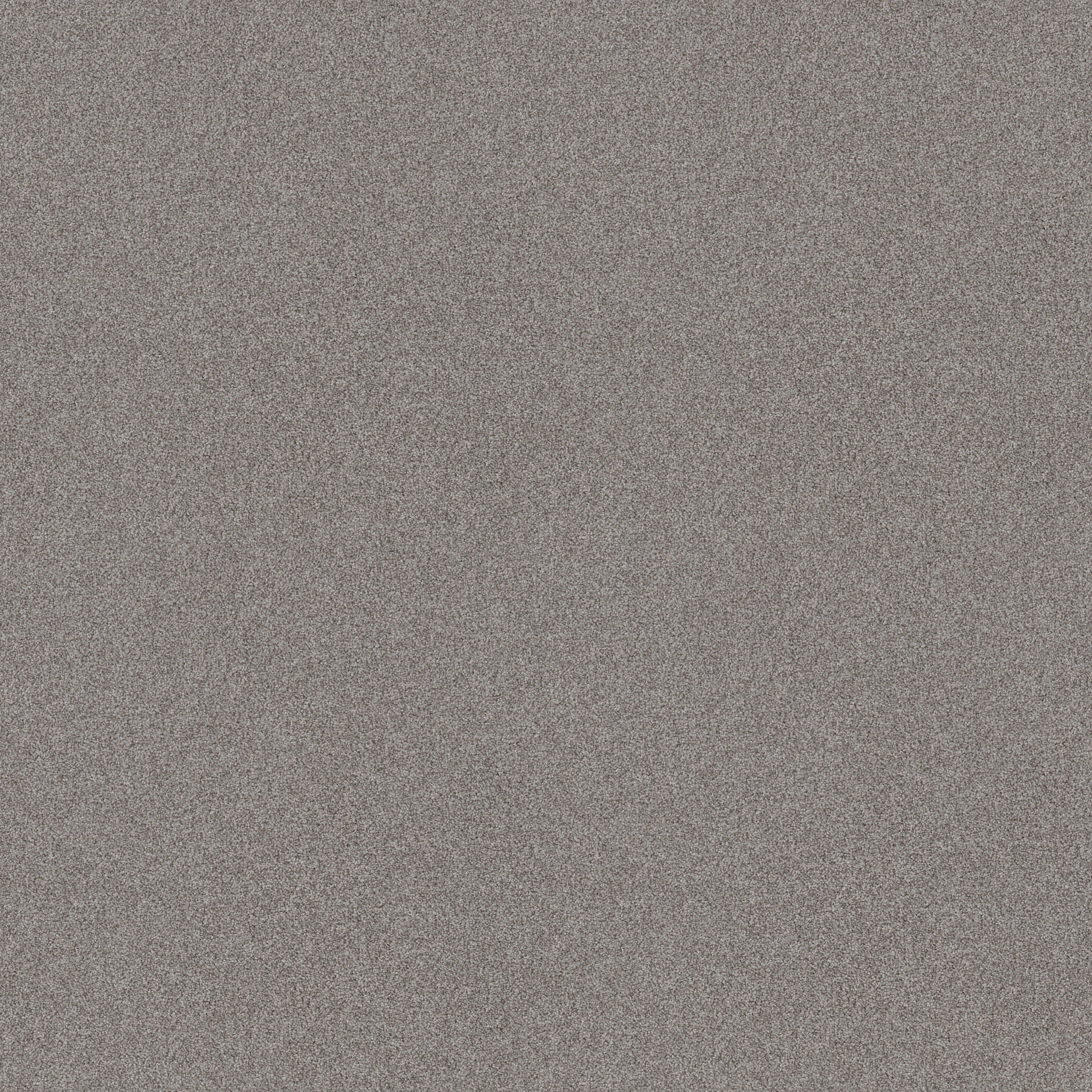 HARMONIOUS I GREY FOX SWATCH