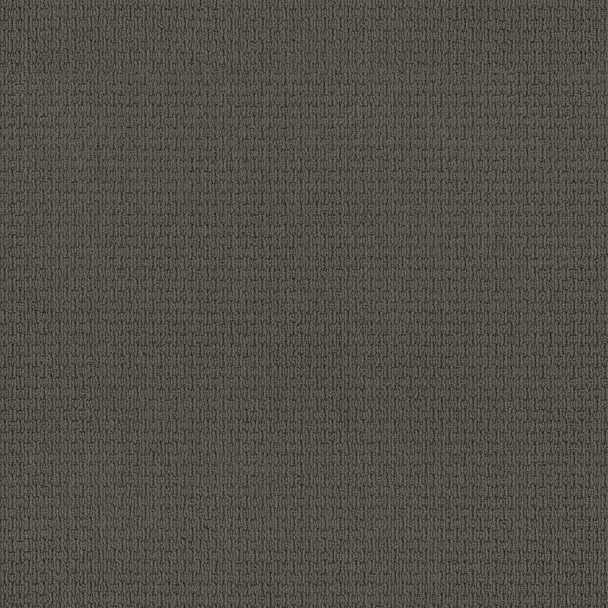 SPACE LINE SMOKED PEARL MAIN