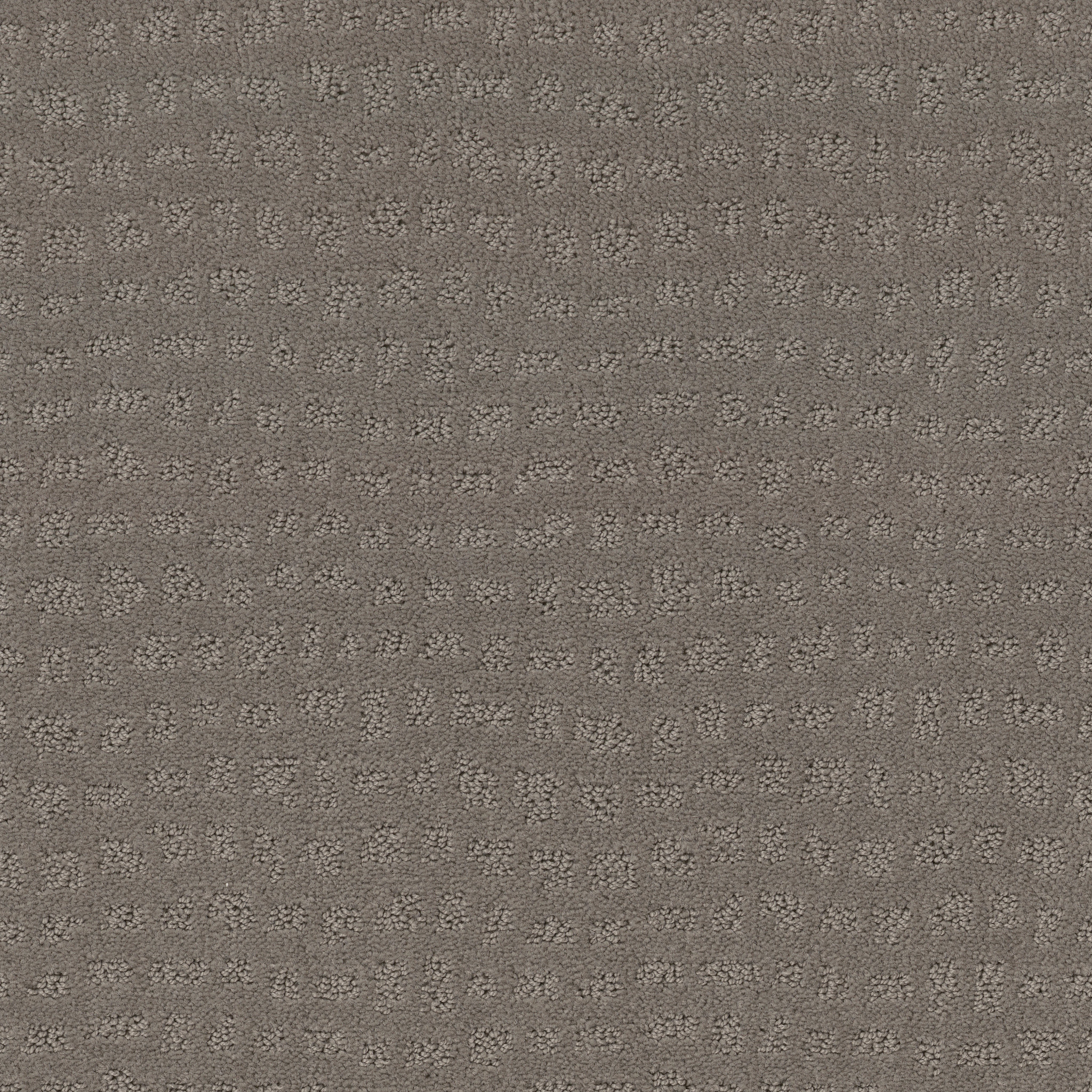 SOLSTICE STILL GRAY MAIN