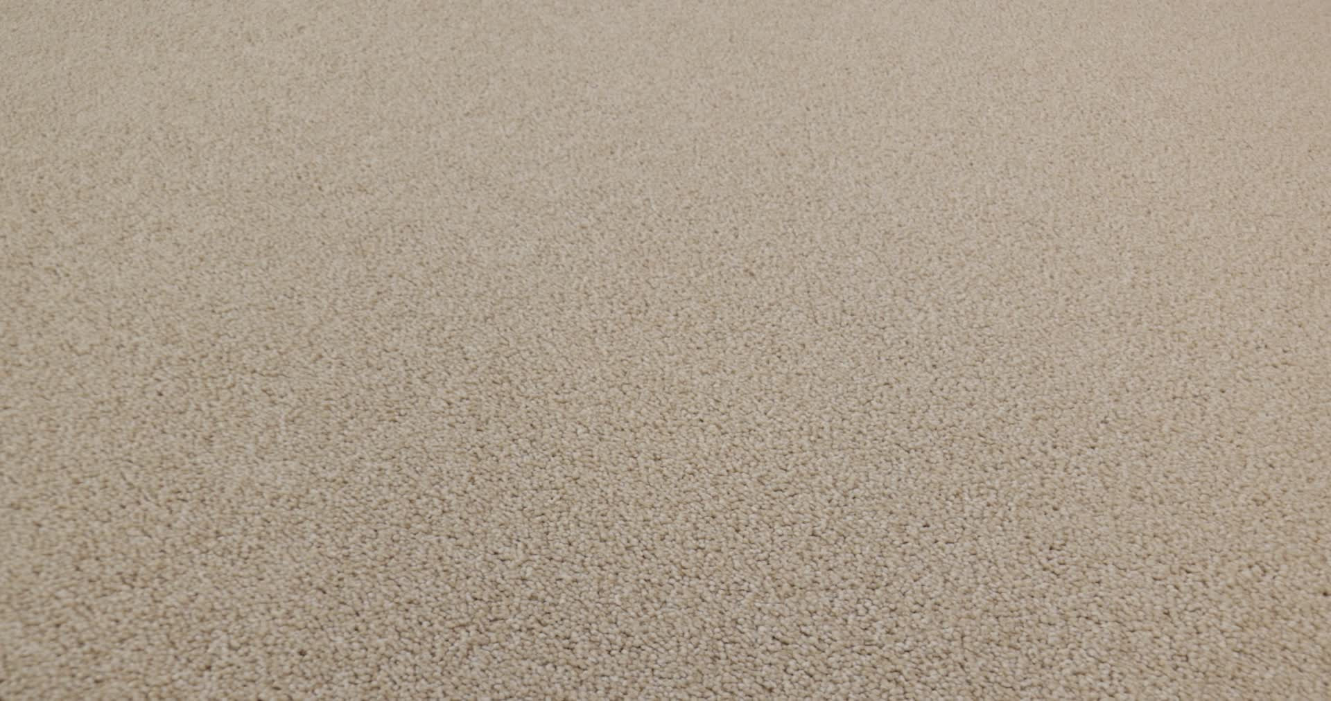 CLASSIC TONE BLUE SAFARI 360PROD