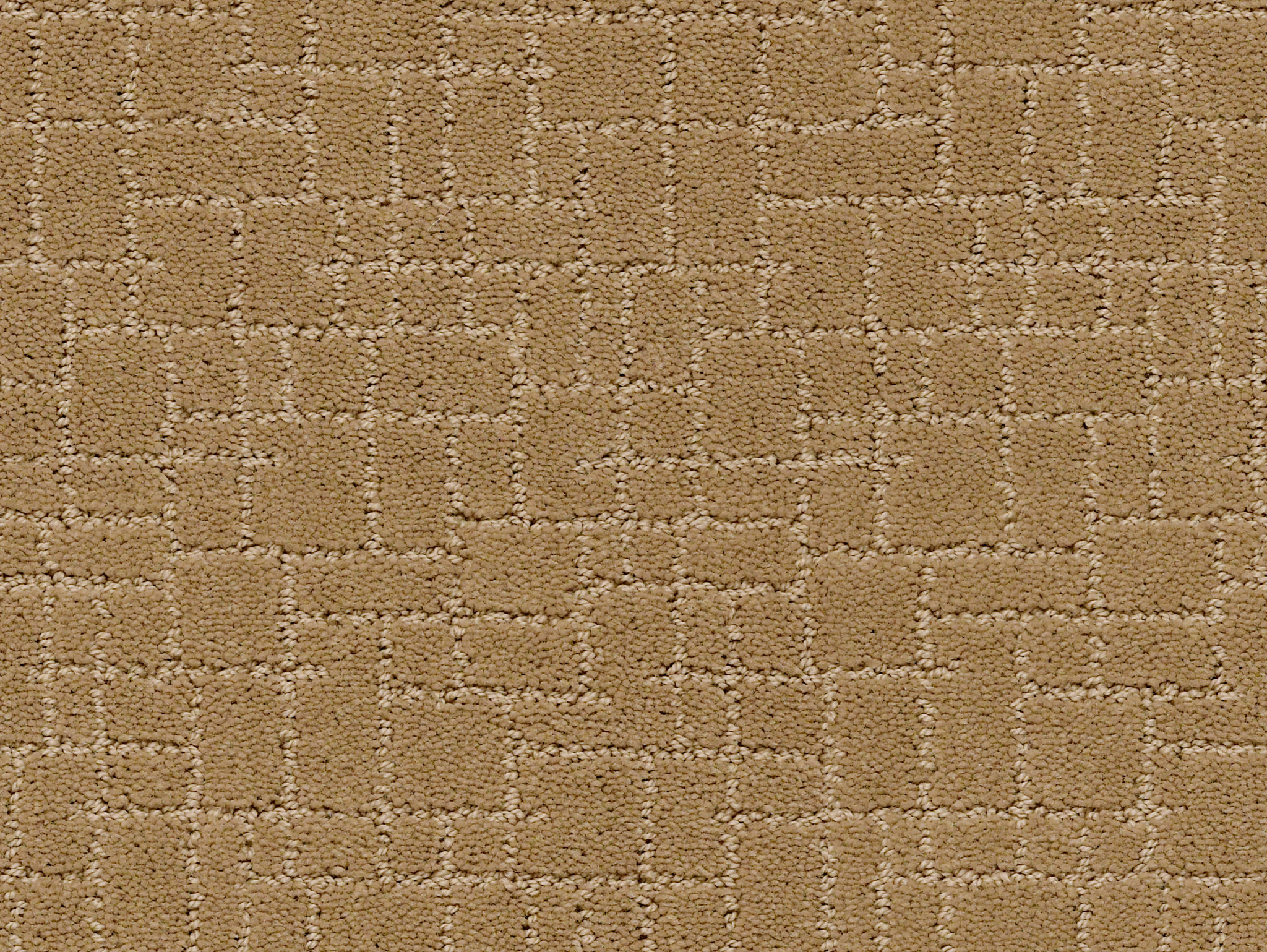 FAUX PAW GOLDEN STRAW MAIN