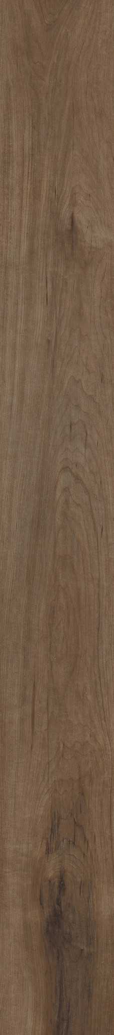 MALTESE TANNIN MAPLE 1TO1