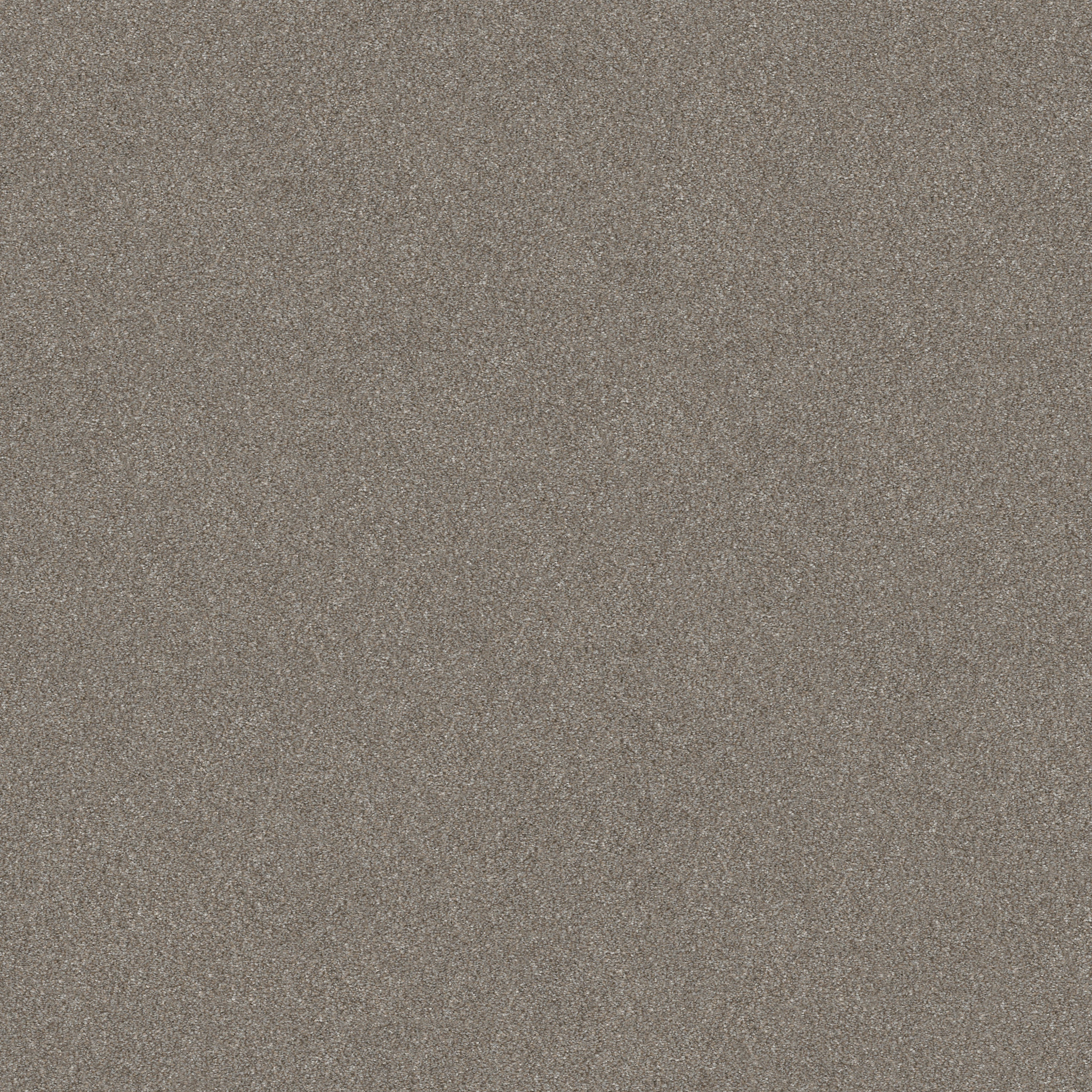 WITHOUT LIMITS II ABALONE MAIN