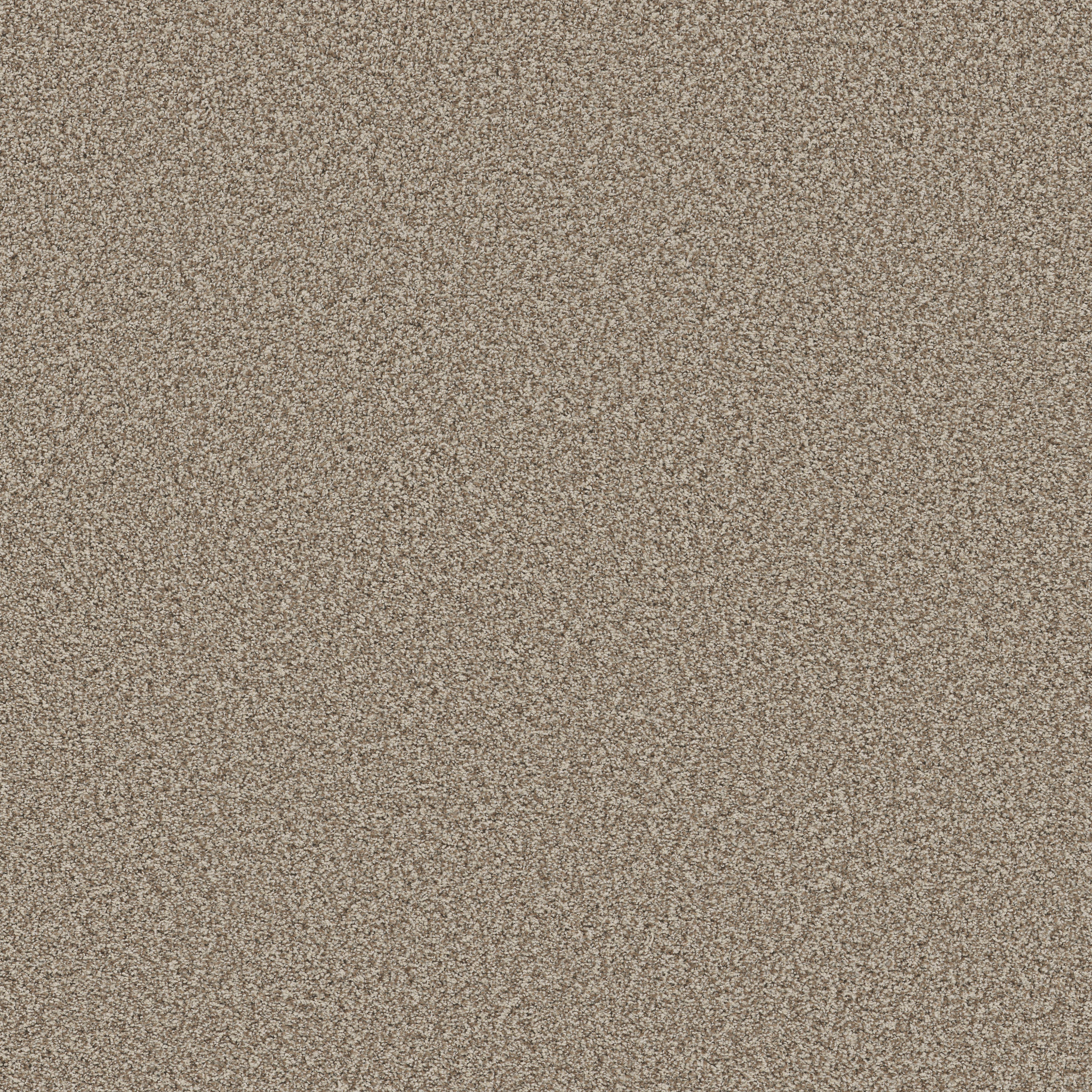 BELLA NOVA PASHMINA MAIN