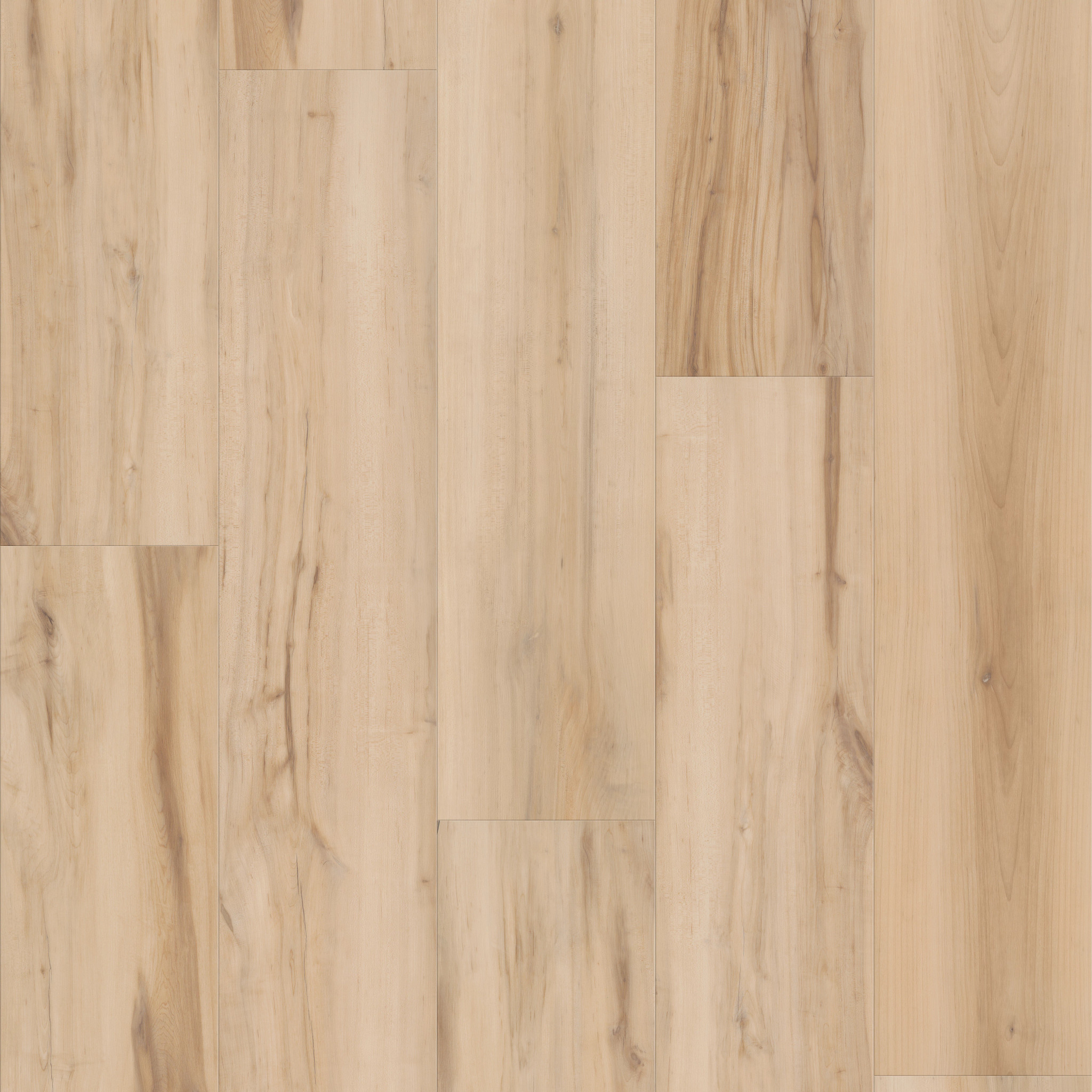 Fresh Take - in Butterfly White | Shaw Floors