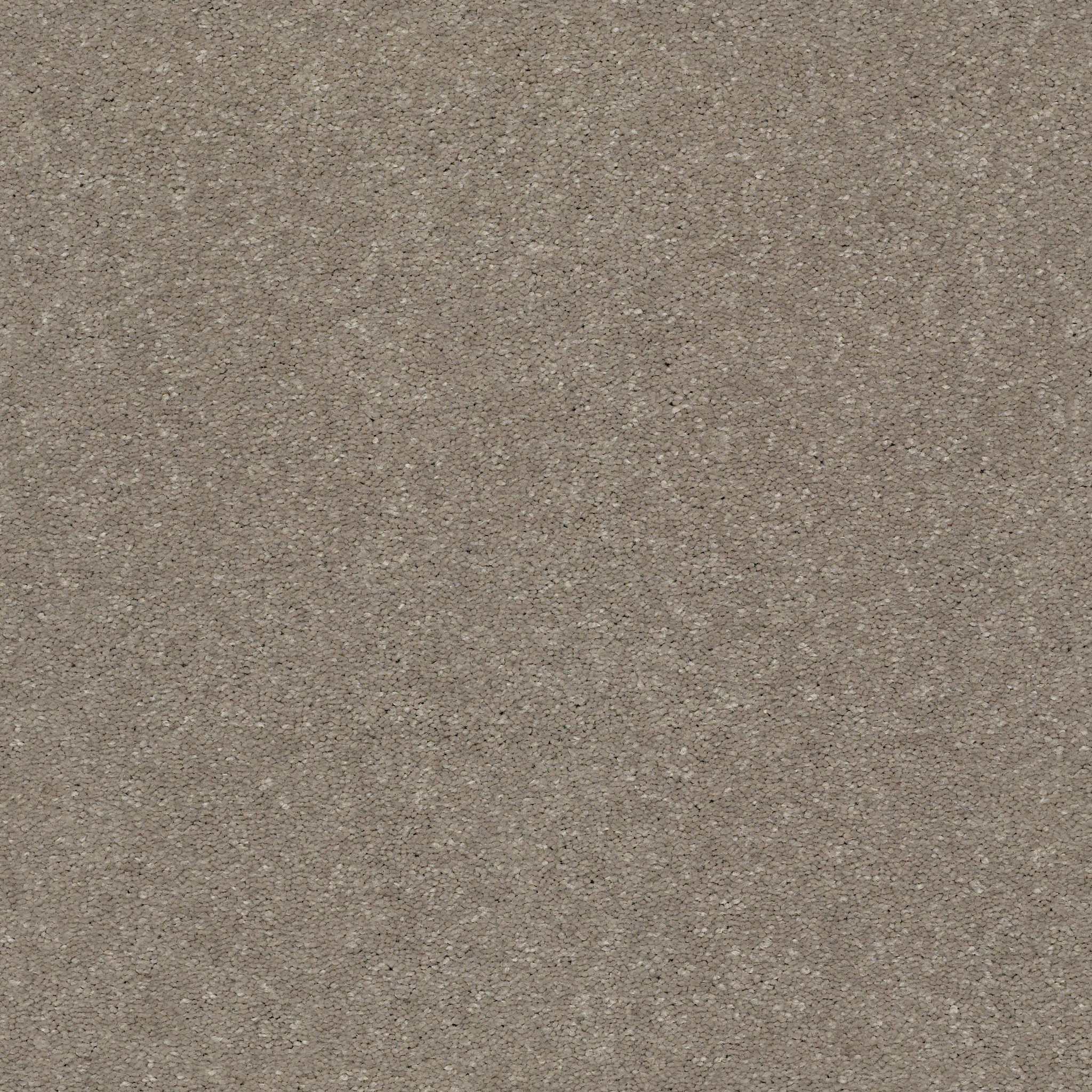 WELL GROUNDED II 15 NATURAL CONTOUR MAIN