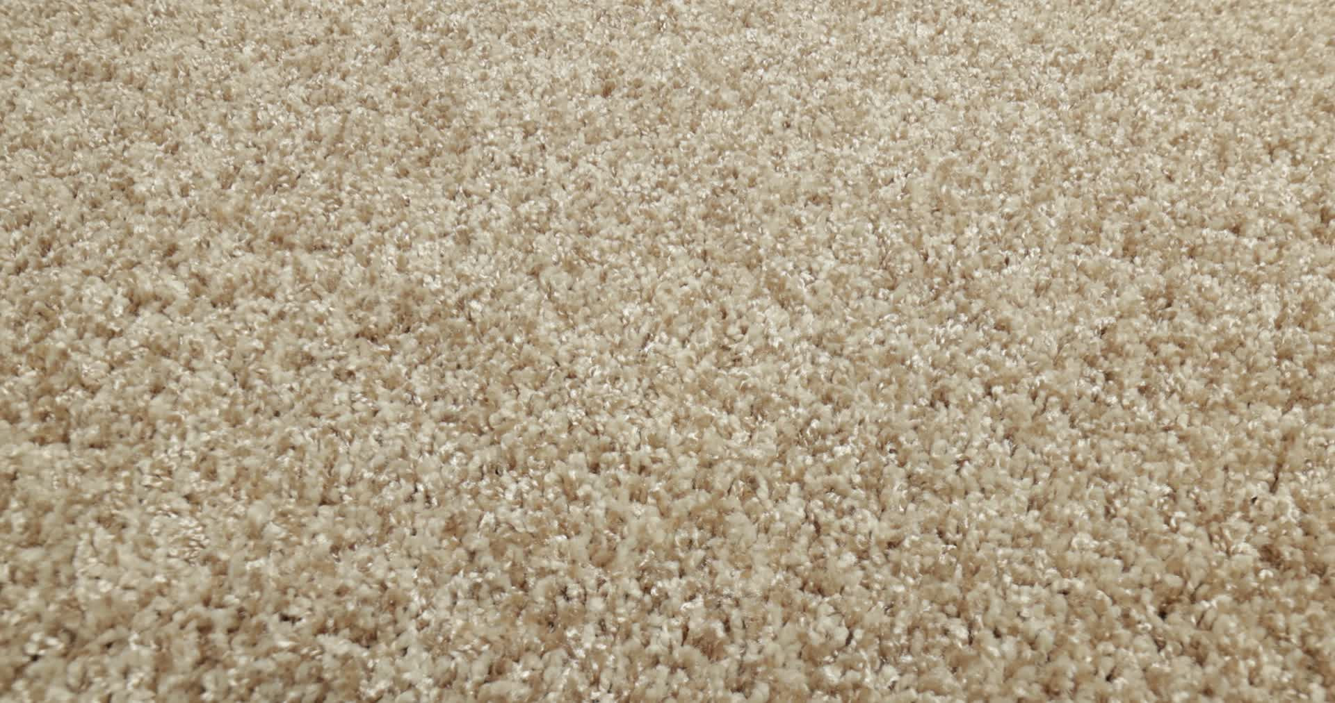 COLOR FLAIR CORNMEAL 360PROD