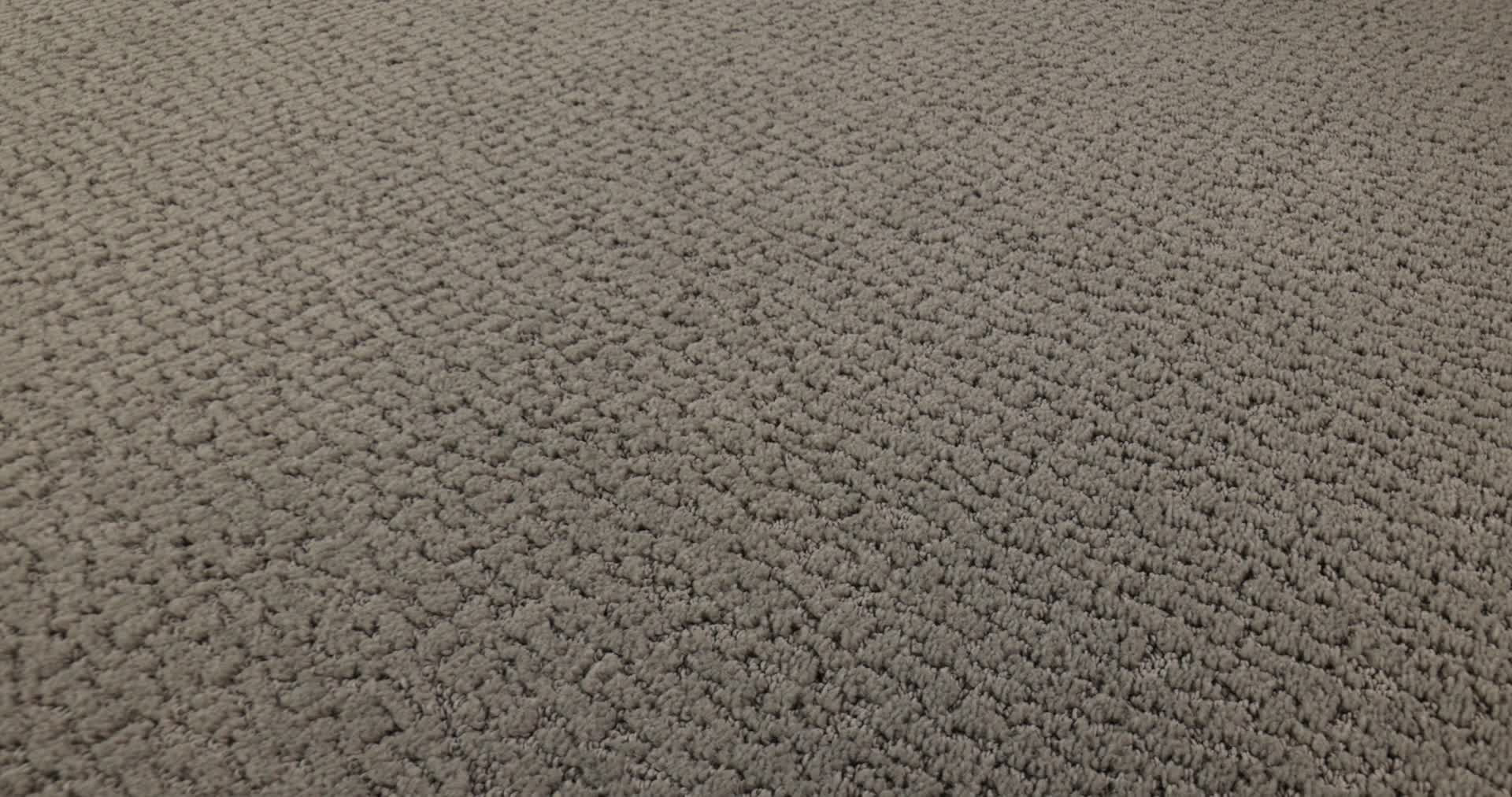 STUDIO SET FALLEN ACORN 360PROD