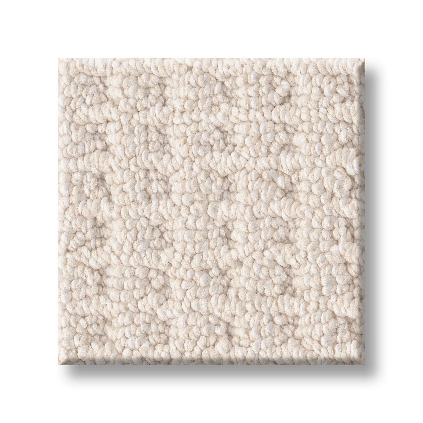 FAINT INTENT 5E441 - 00153 | Shaw Floors