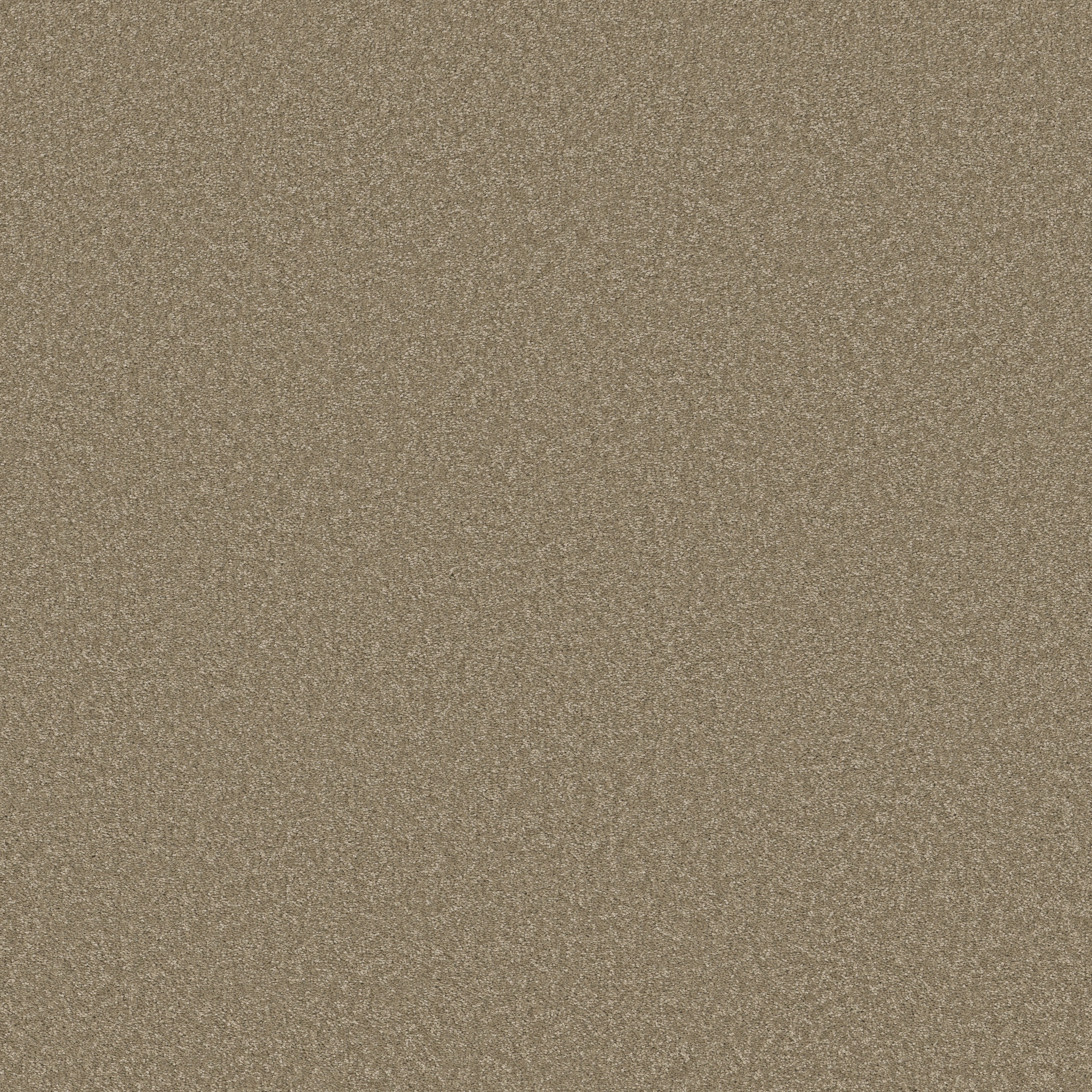 WAY TO GO I HIDDEN TREASURE MAIN