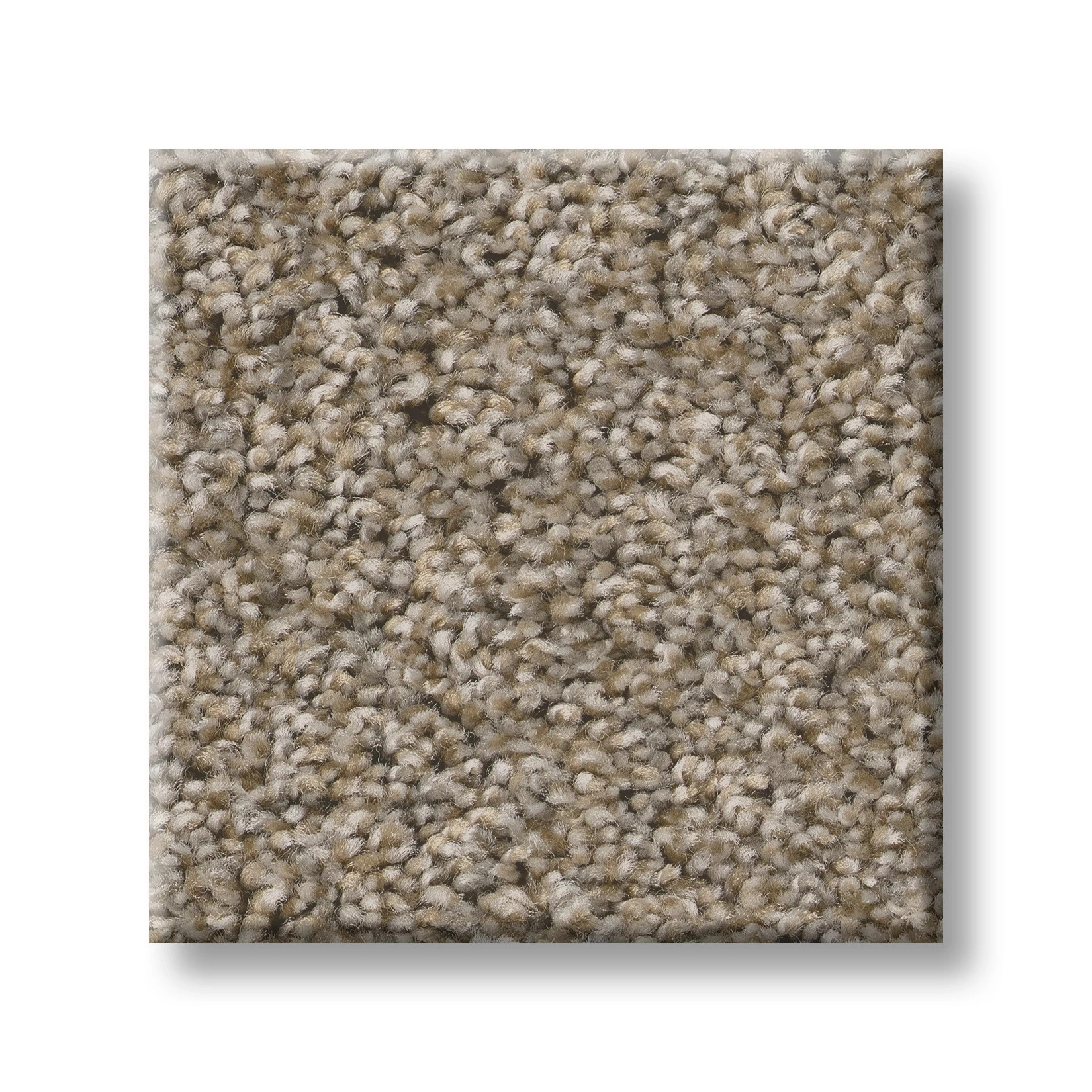 ALWAYS RIGHT I PARCHMENT SWATCH