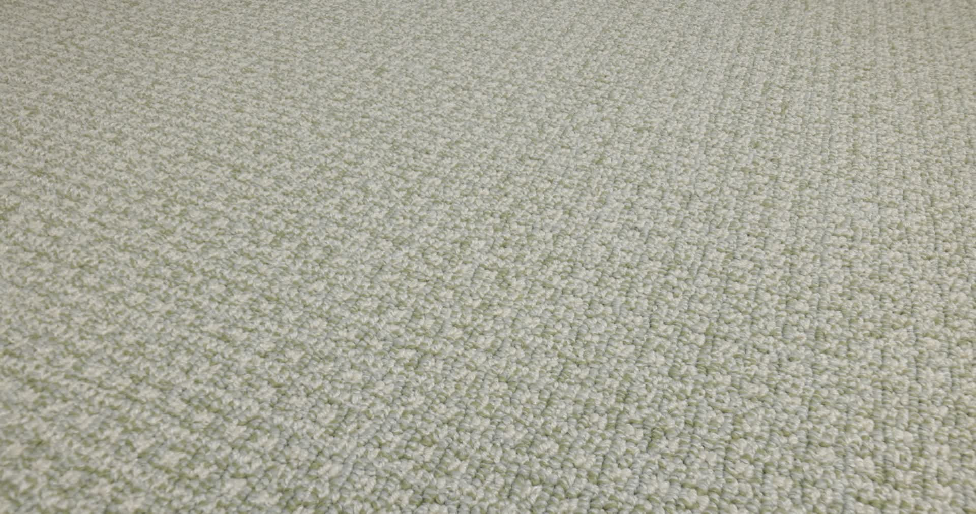 FETCH SOFT FERN 360PROD