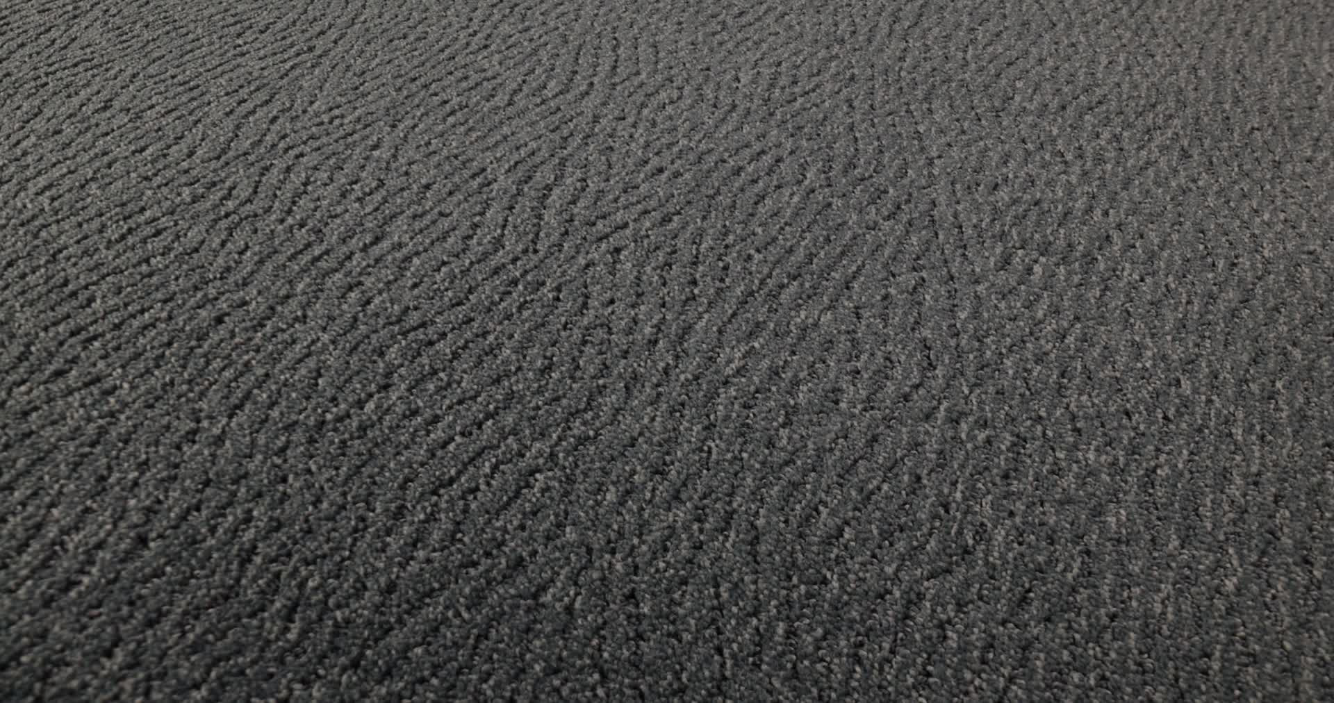 FUR-EVER WATERBURY 360PROD