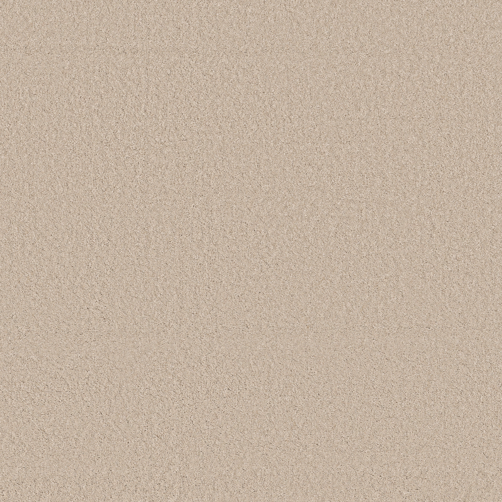 ENCHANTING TAPIOCA MAIN