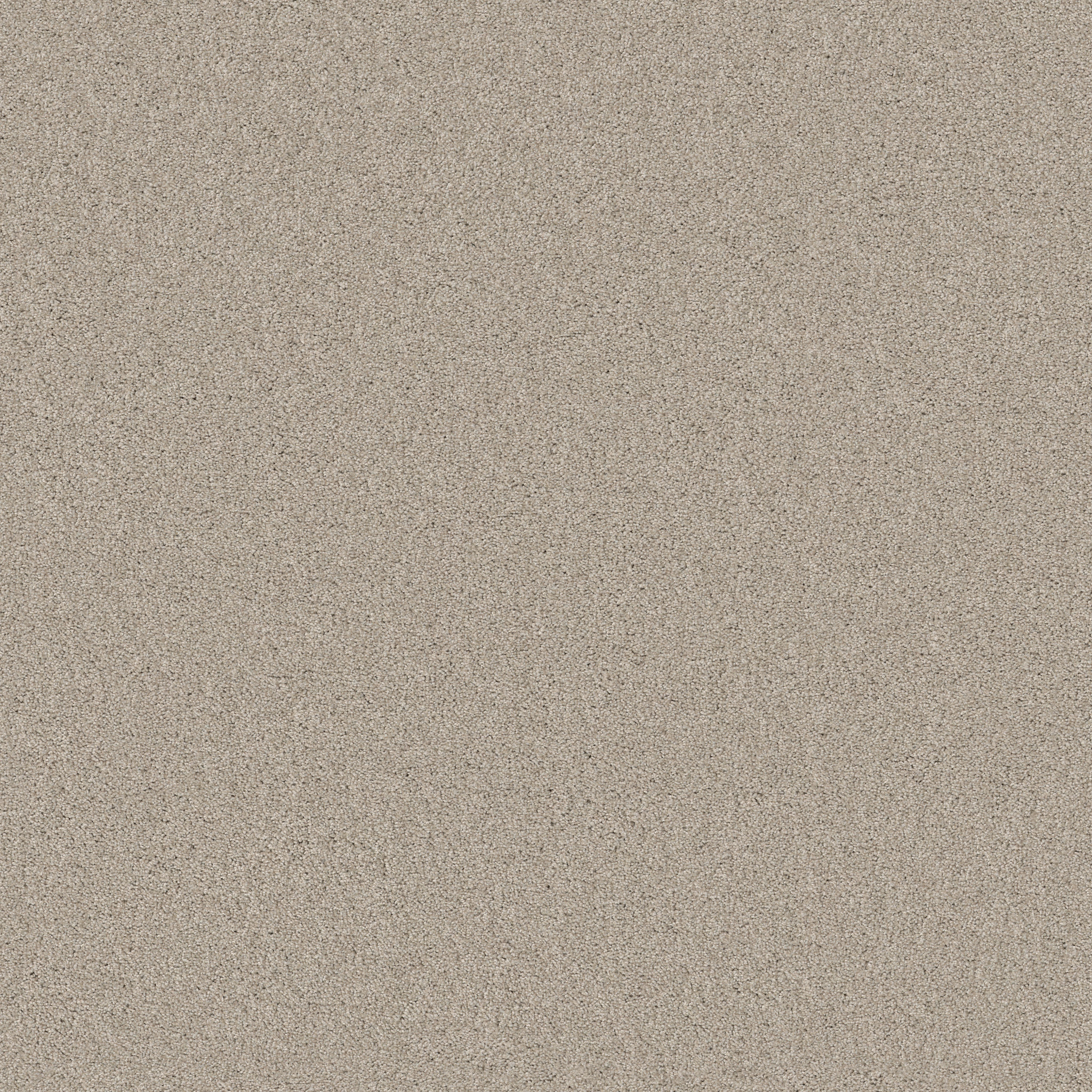 SWEET INSPIRATION II SCONE MAIN