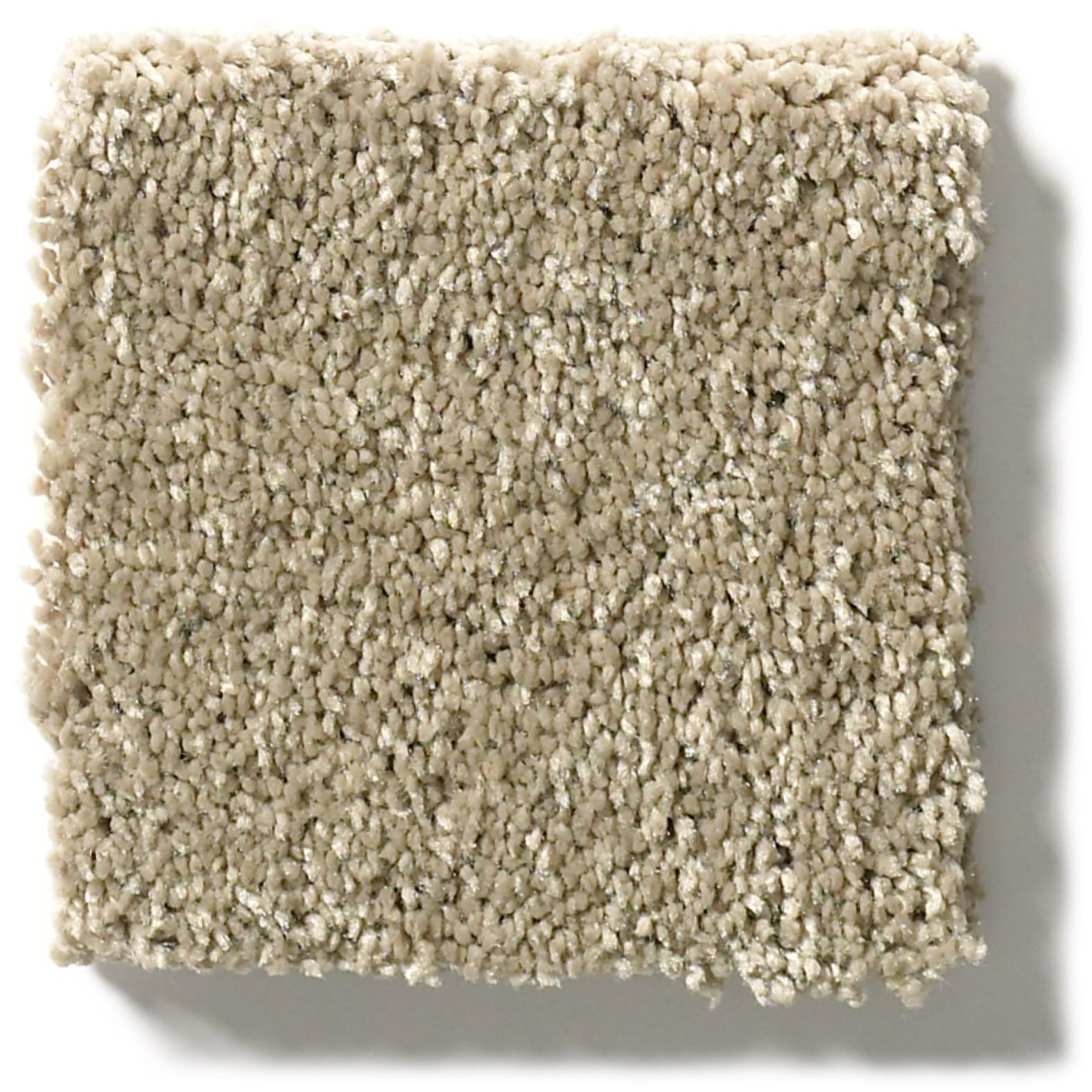 BASIC RULES KHAKI SWATCH