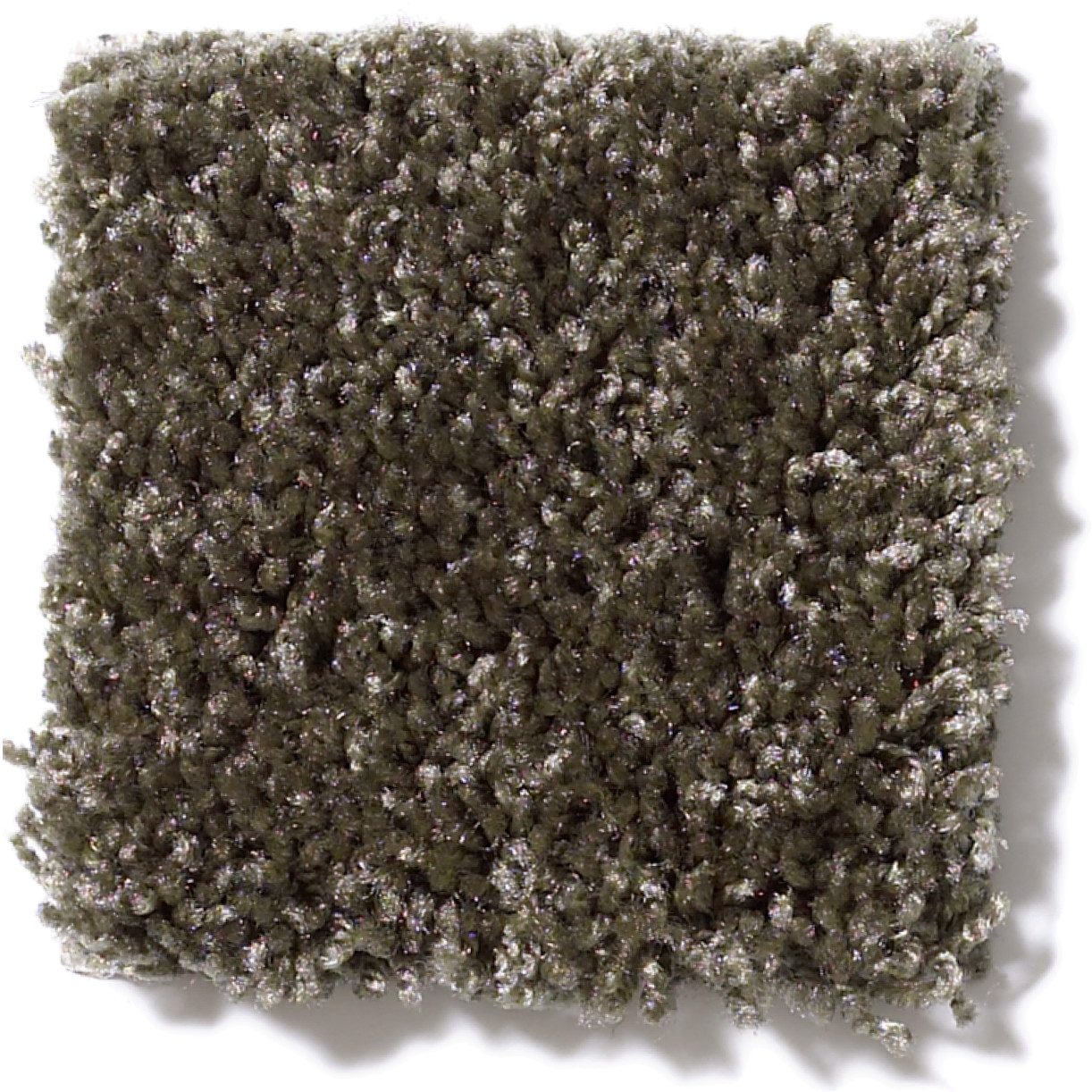 COLESVILLE 12' CENTRAL PARK SWATCH