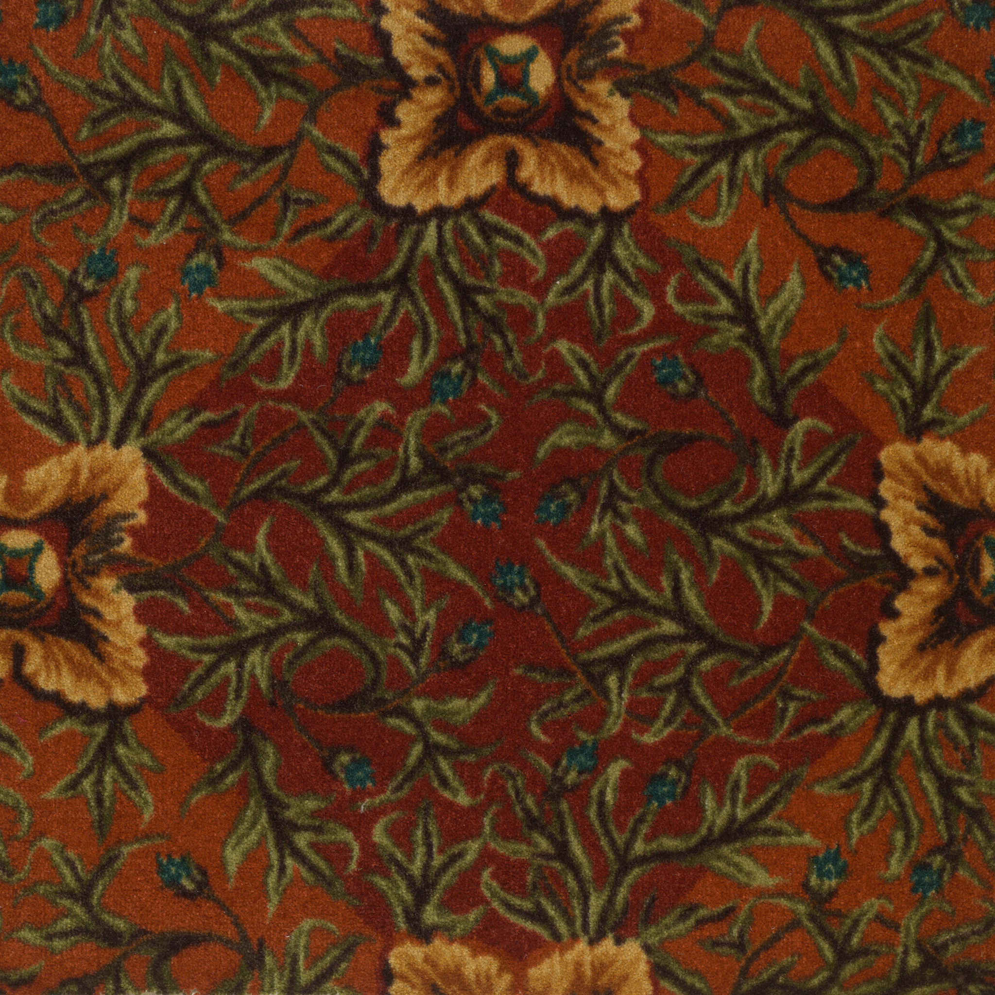 DINE-OUT-54613-BARI-13650-main-image