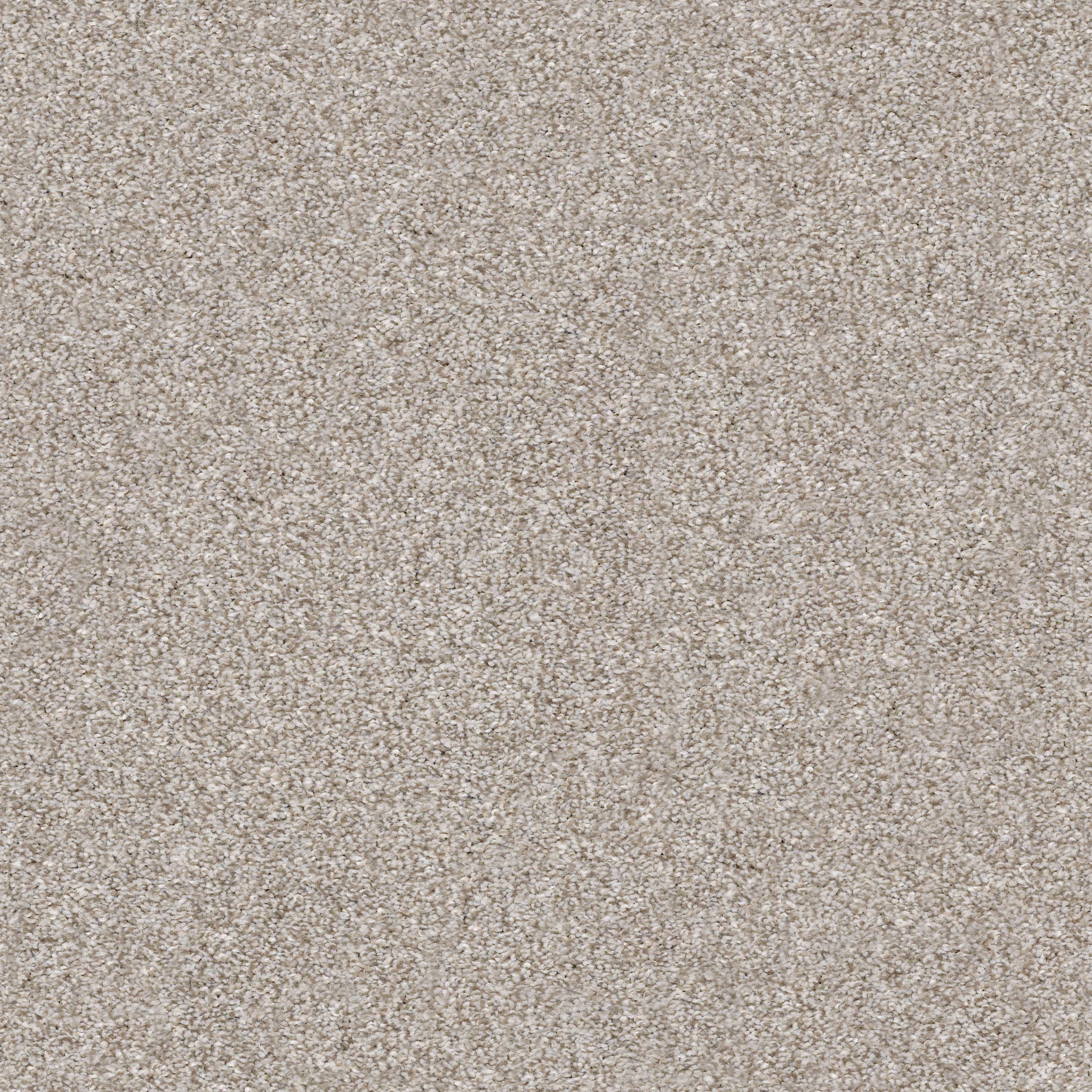 MAKE IT MINE I WINTER DUNES MAIN