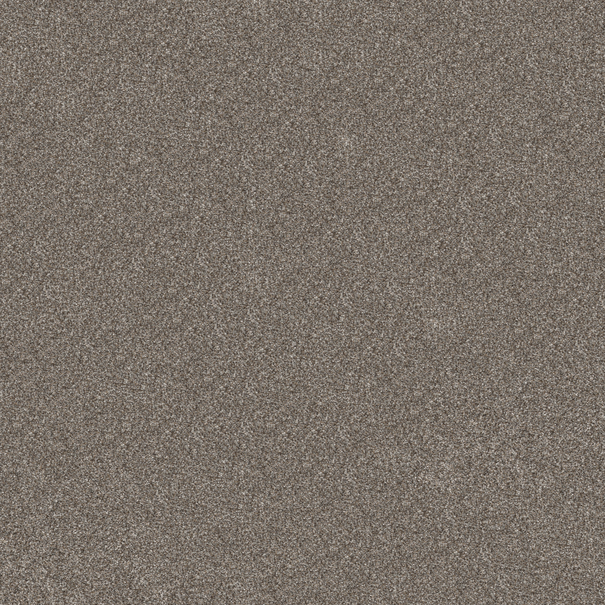 REFINED BEAUTY COFFEE MAIN