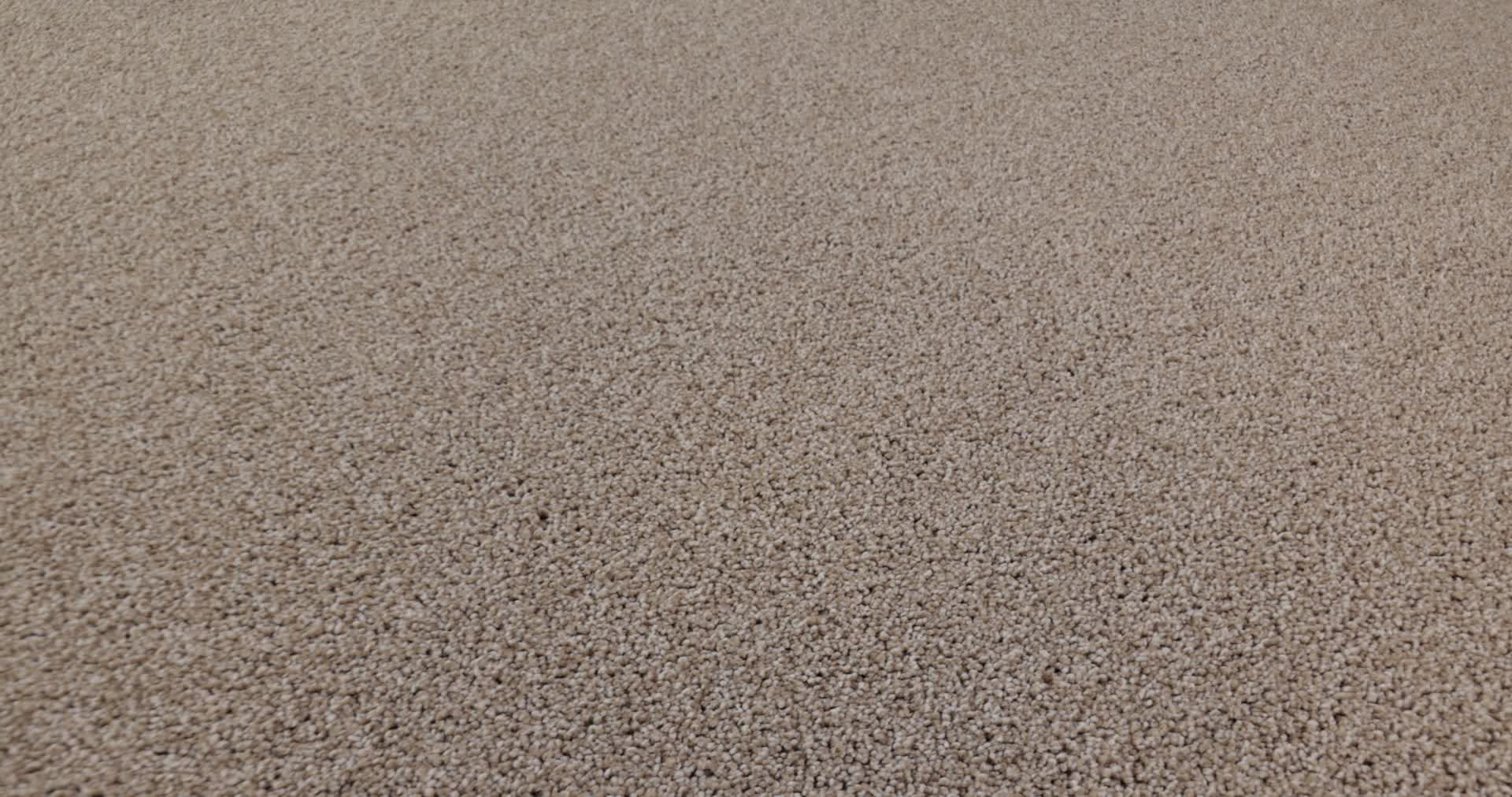 NEW MEMORIES T BAJA 360PROD