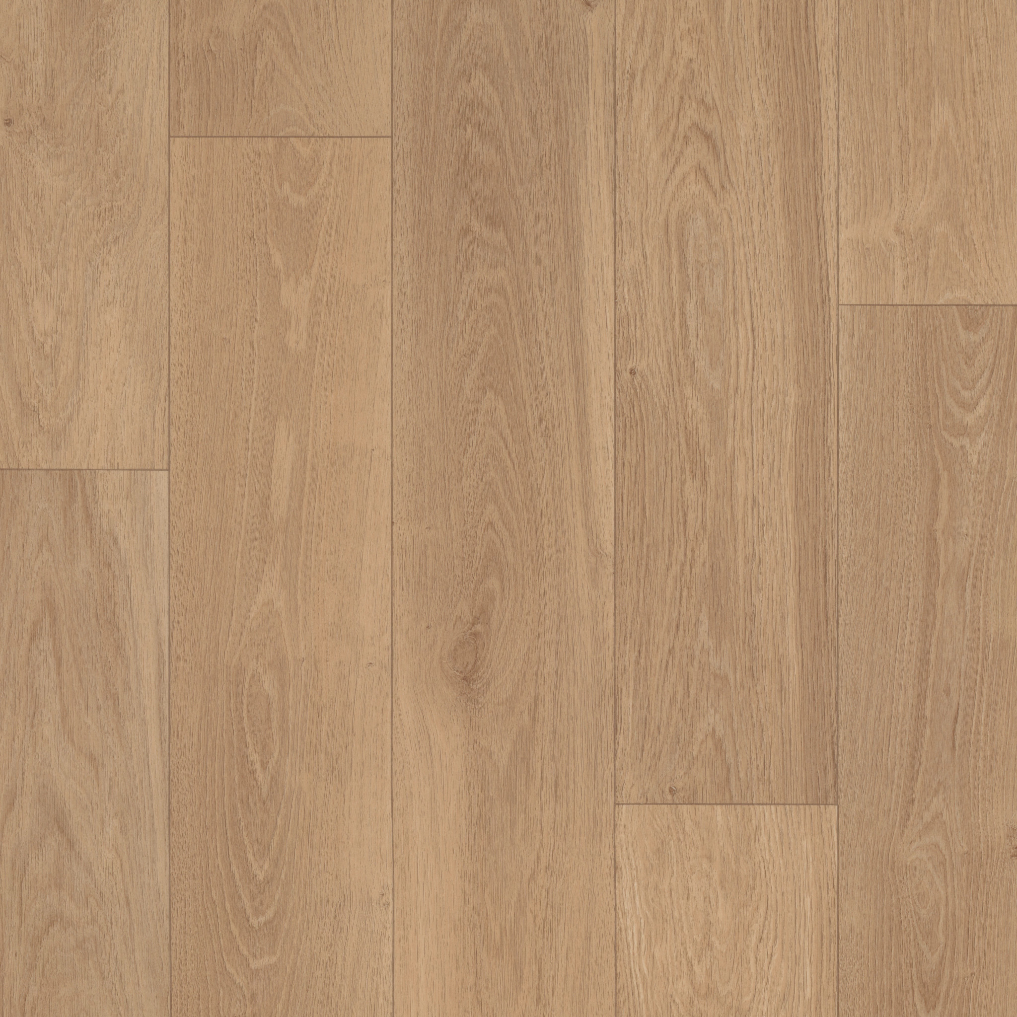 SERENDIPITY PHOENIX MAIN