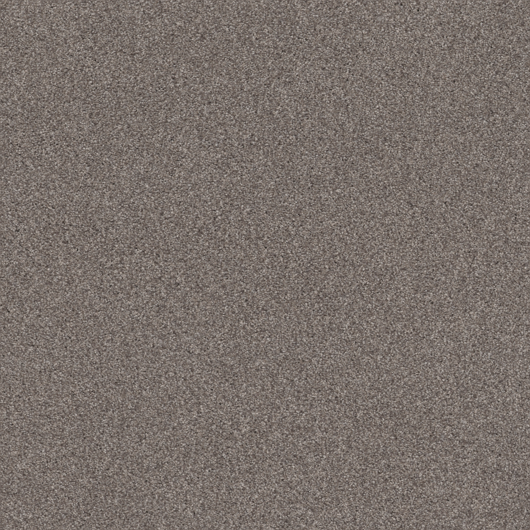 COZY HARBOR I RIDGEVIEW MAIN