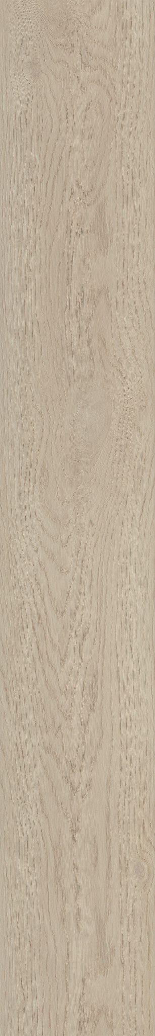 FRESH TAKE SHELL TAUPE 1TO1