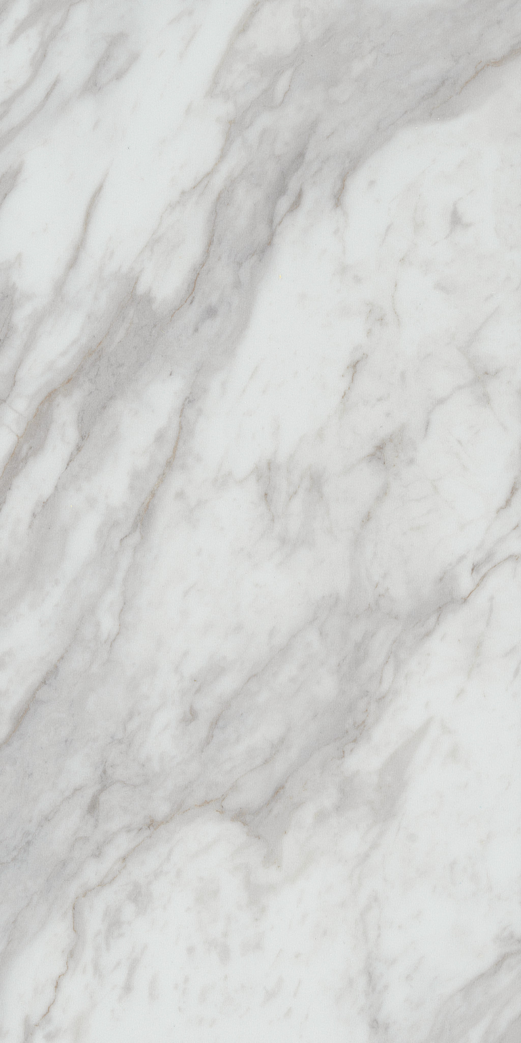 PARAGON TILE PLUS OYSTER 1TO1