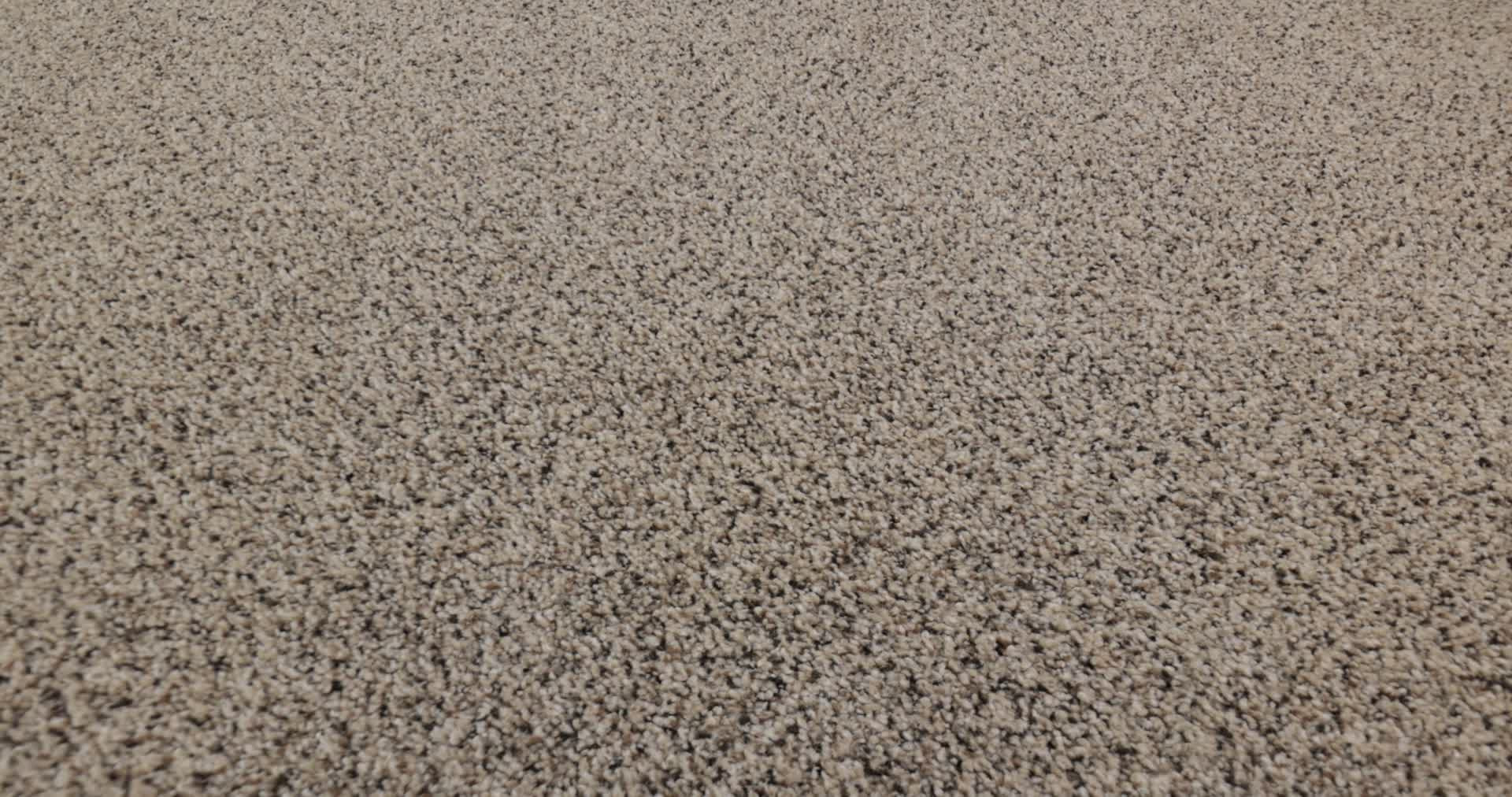 MAKING MEMORIES CAMPING TRIP 360PROD