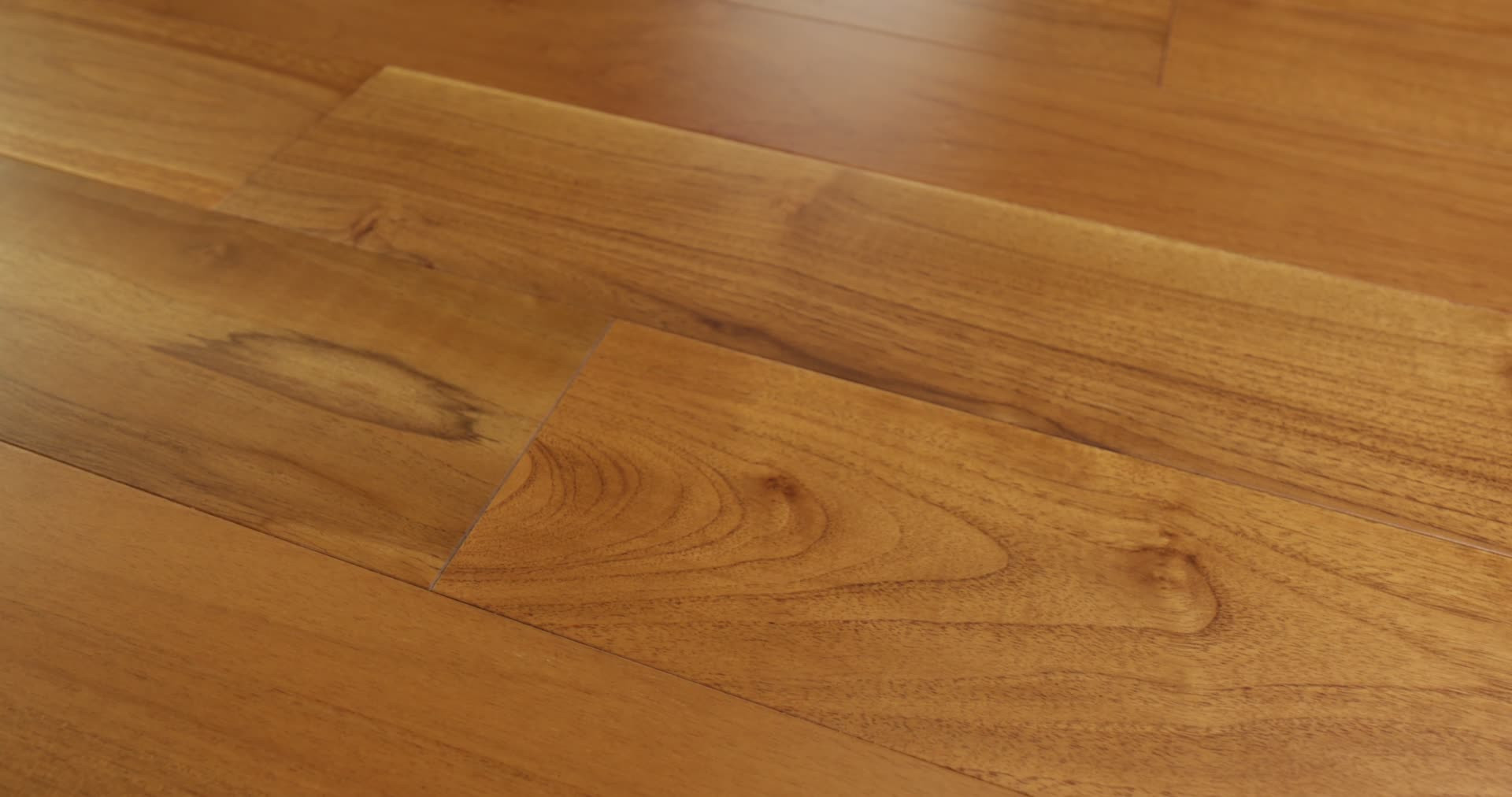 REGATTA TEAK 5" MAINSAIL 360PROD