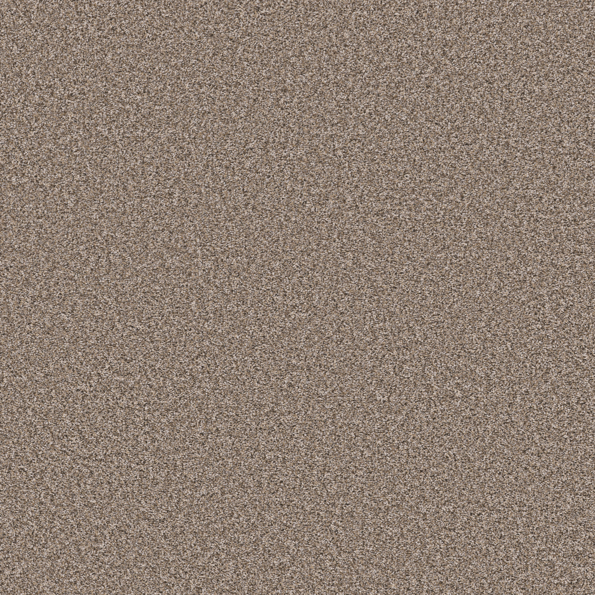 SOFT RADIANCE FOLKLORE MAIN