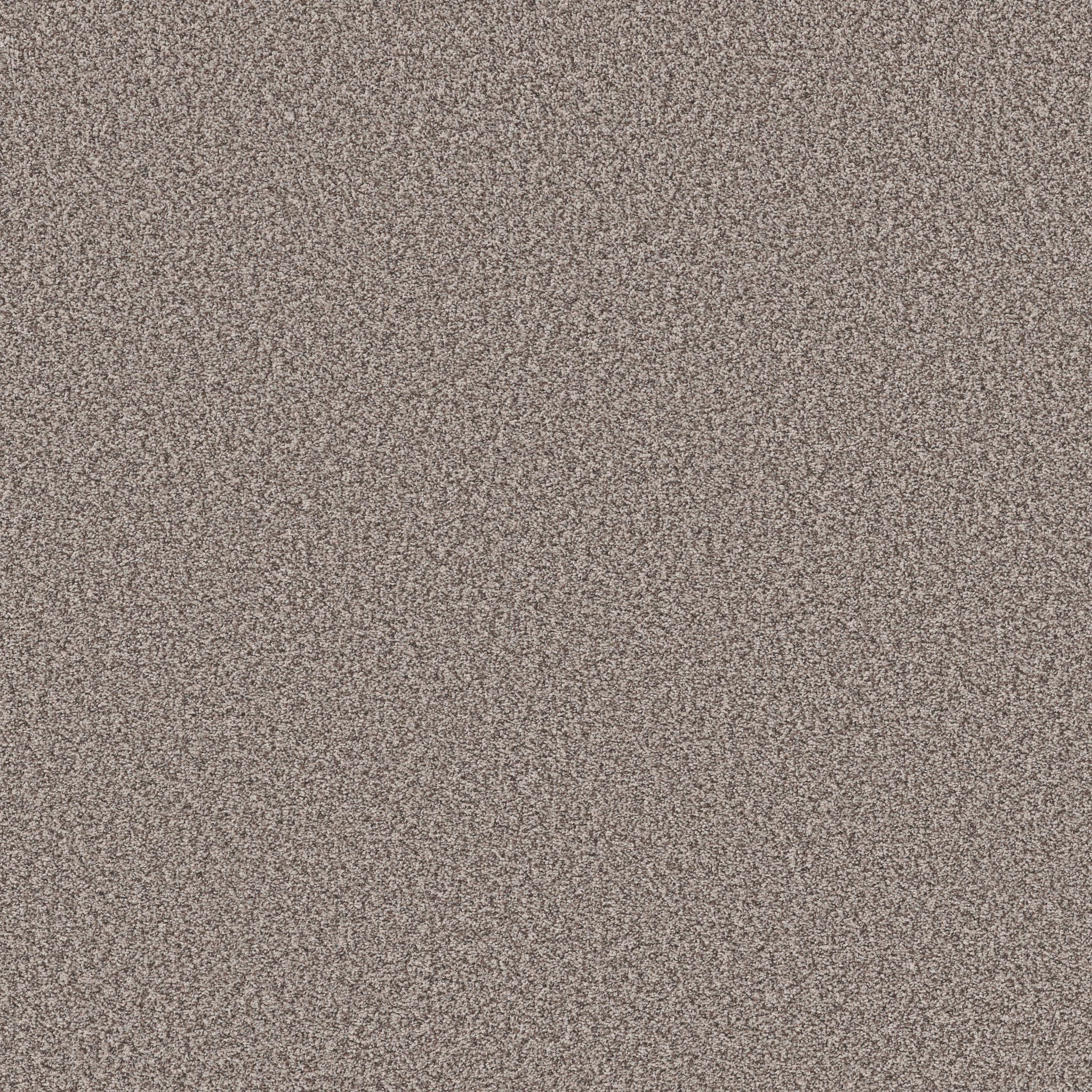 PRESCOTT VALLEY CHIC TAUPE MAIN