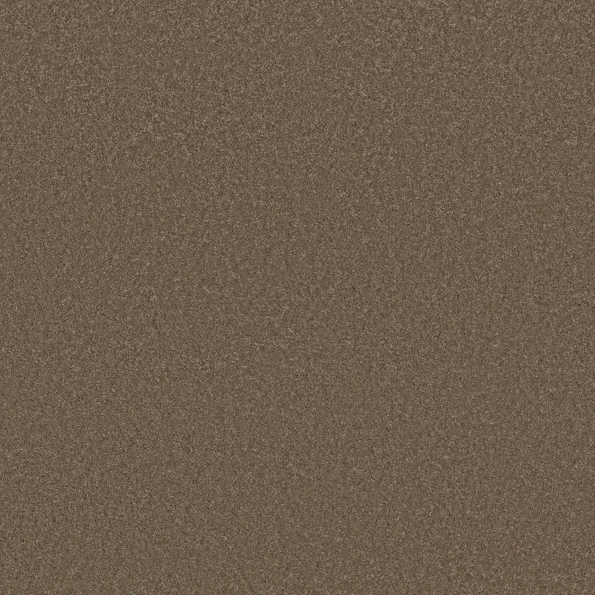 ENCHANTING CARAFE MAIN