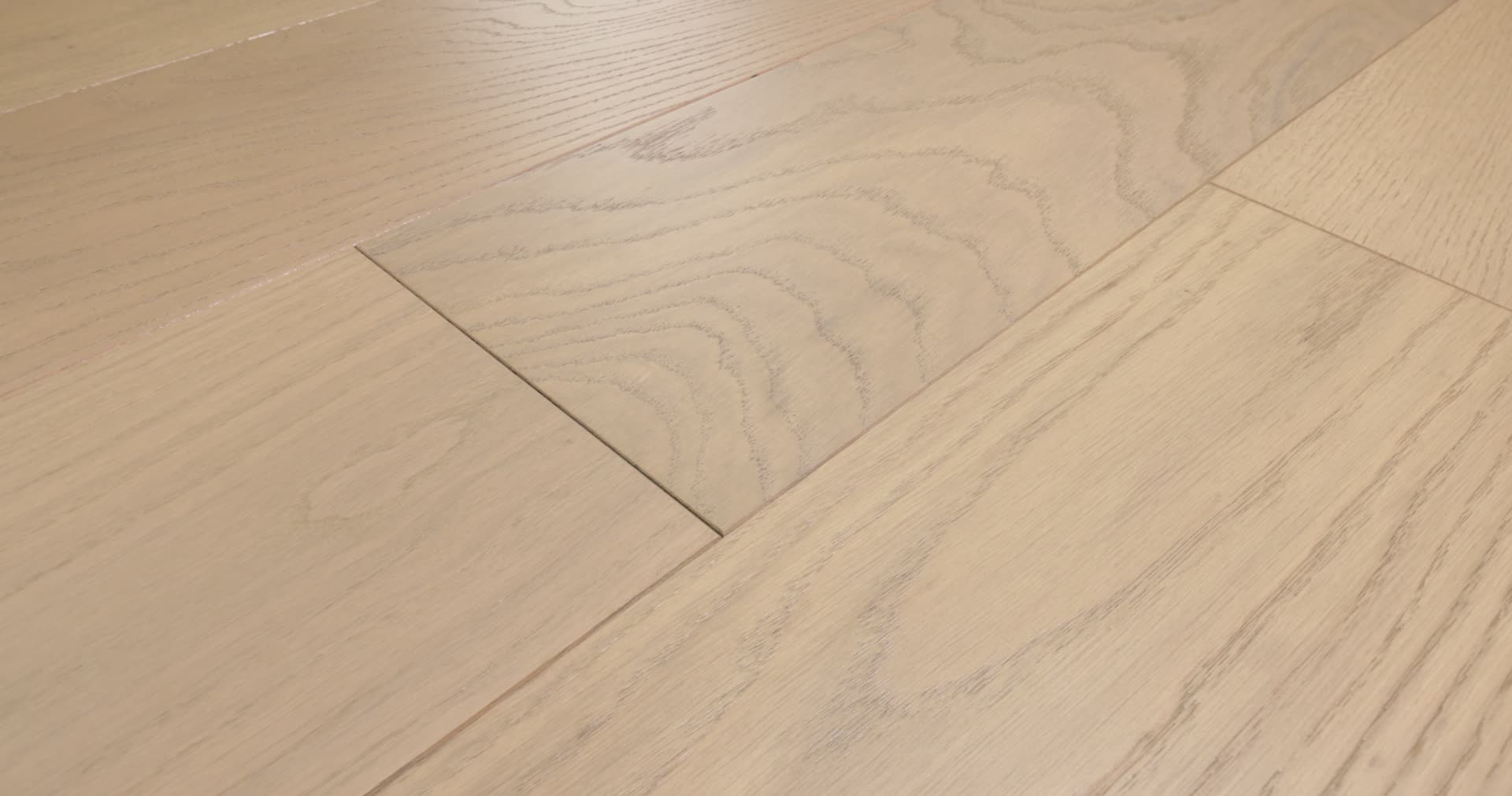 NOBLE HALL REINE 360PROD