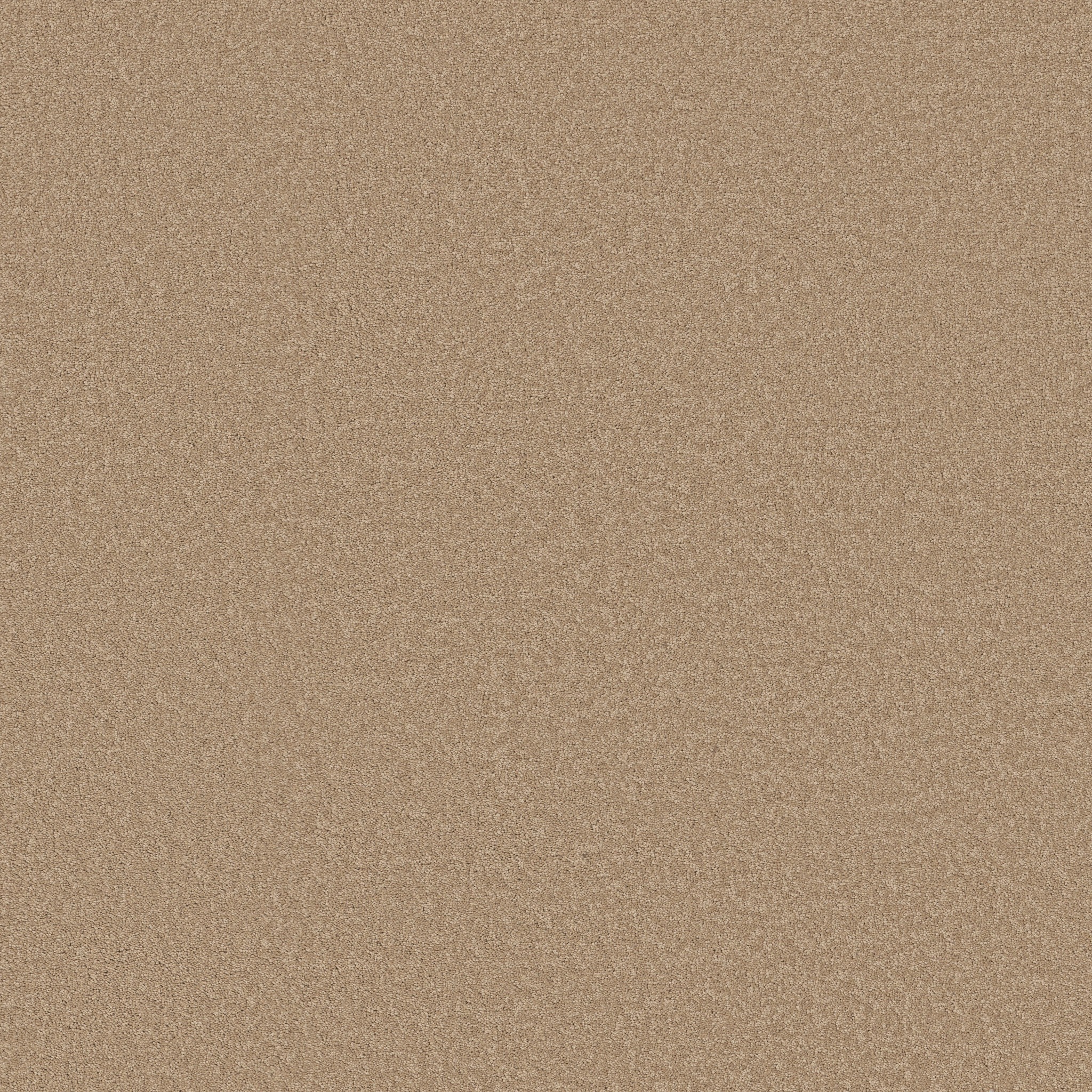 TIMELESS APPEAL III 12' STUCCO MAIN
