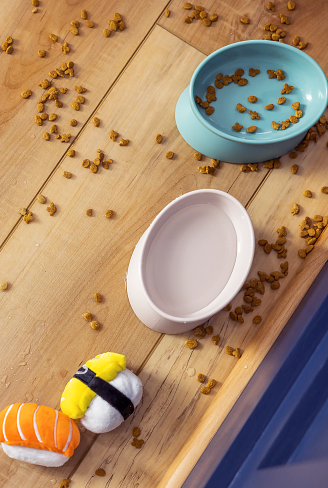 A close-up of a dog food bowl and water bowl with food spilled