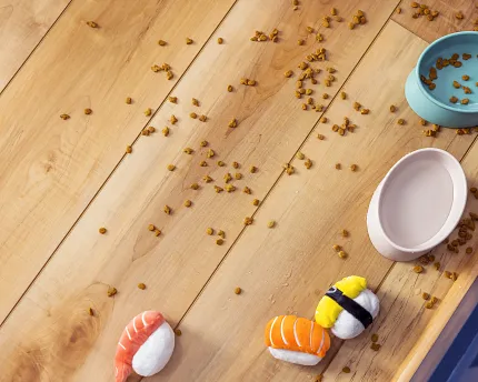 Light Wood Look LVP Flooring with Pet Accessories - Durable and Waterproof Light wood look luxury vinyl plank flooring with pet food bowls and toys scattered