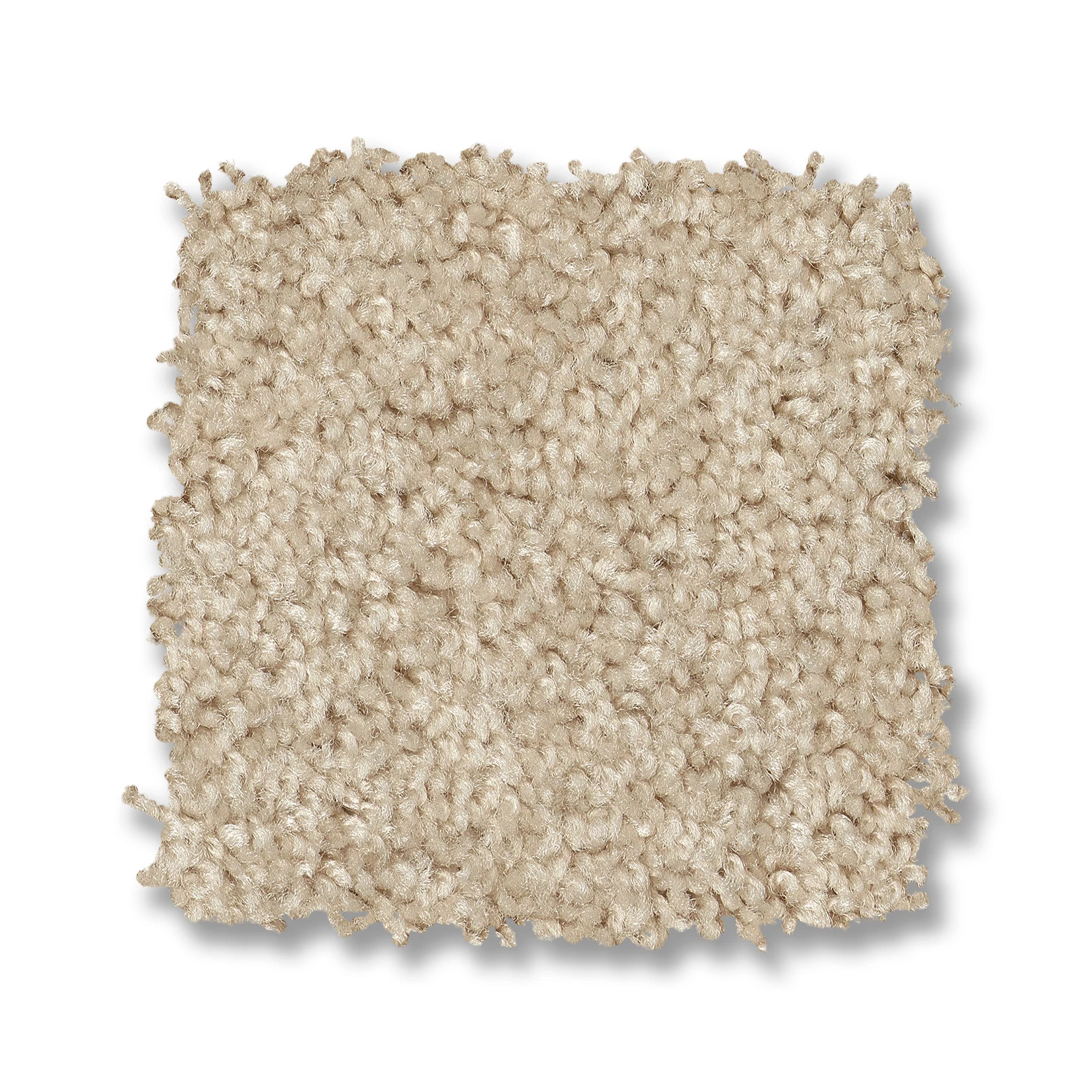 DAKOTA SPRINGS SAND DOLLAR SWATCH